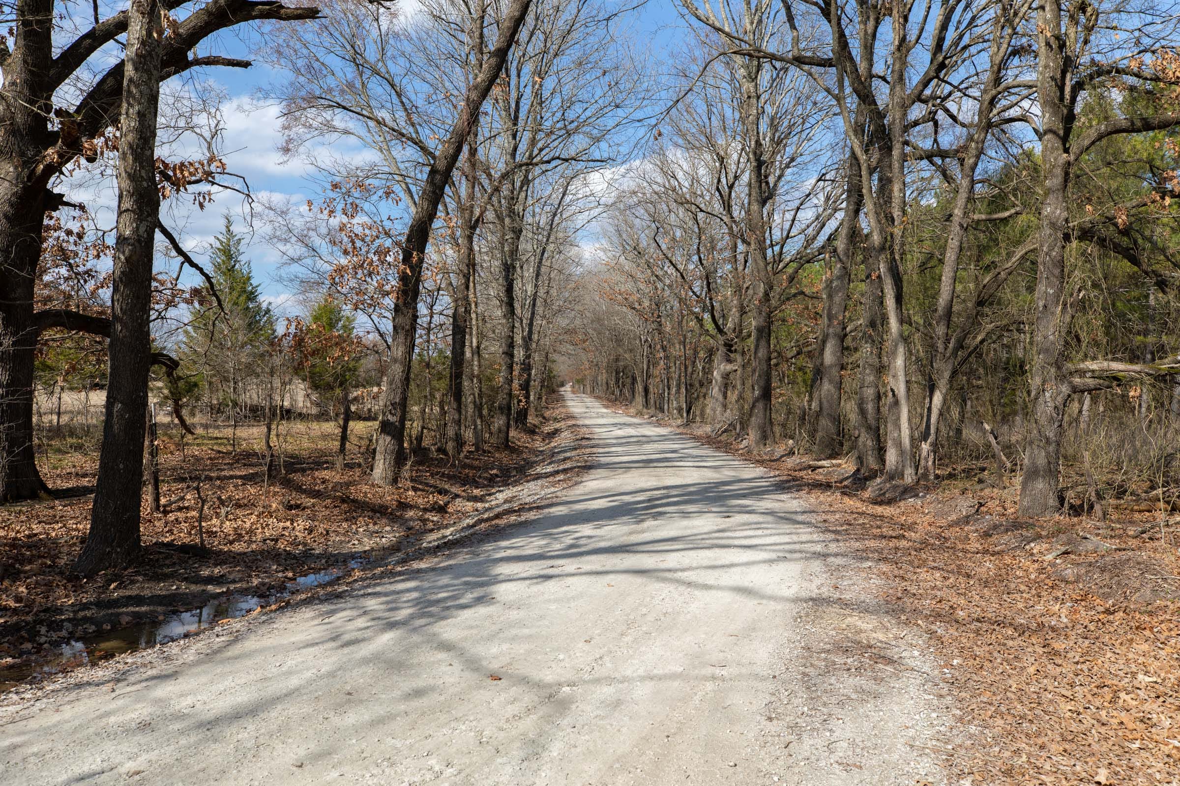 Wishing Star Ranch Tract 47 photo 5
