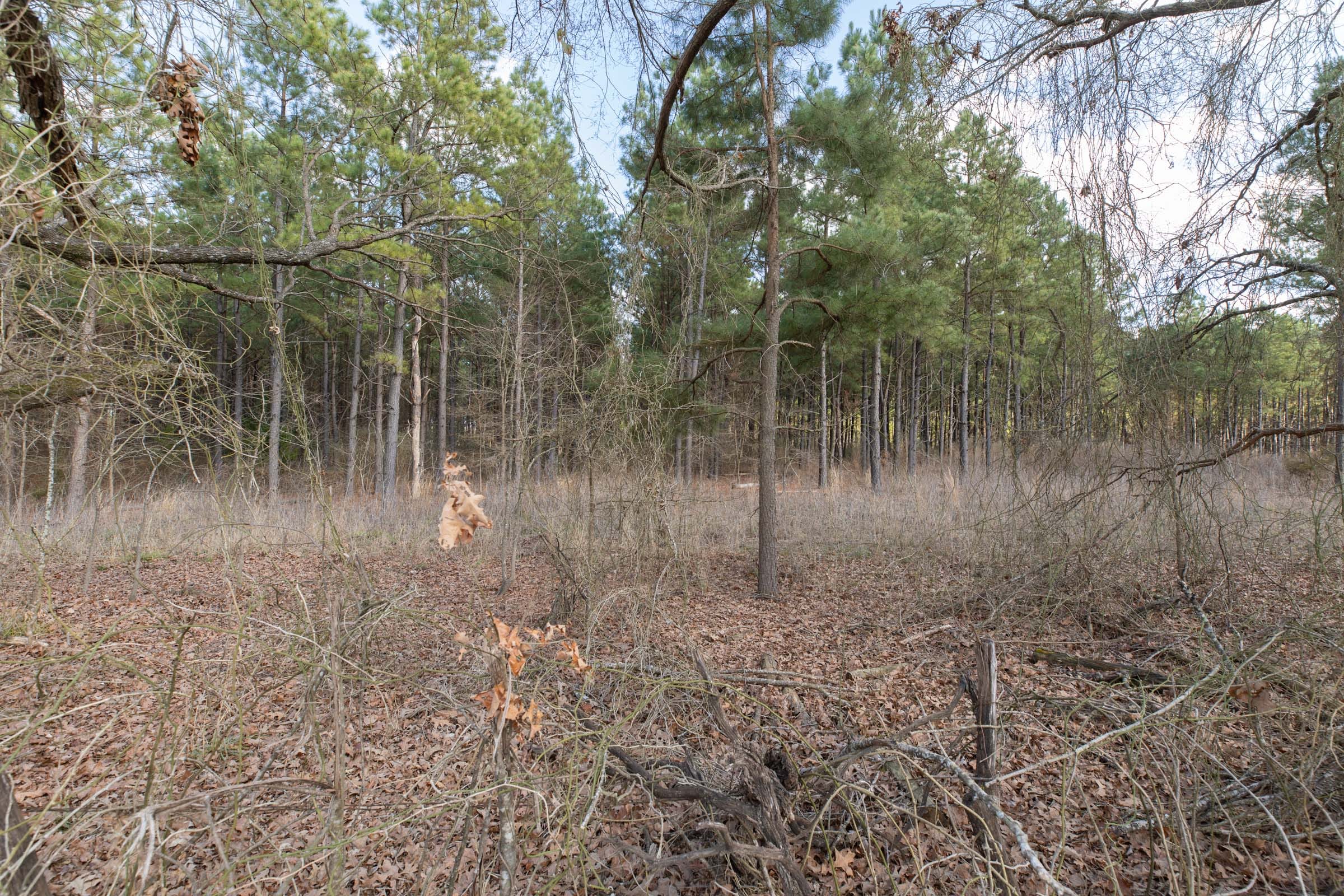 Wishing Star Ranch Tract 47 photo 7