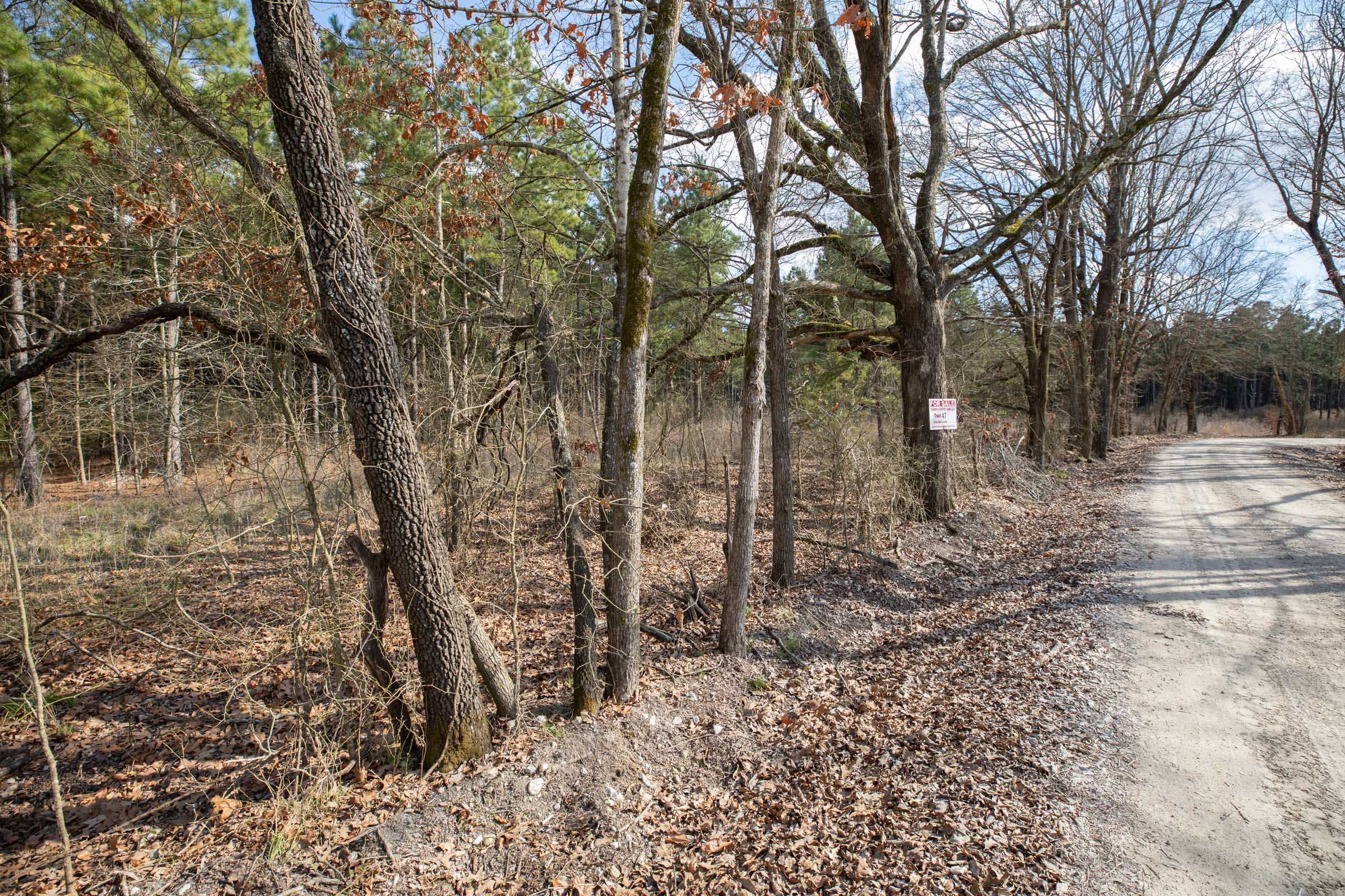 Wishing Star Ranch Tract 47 photo 10