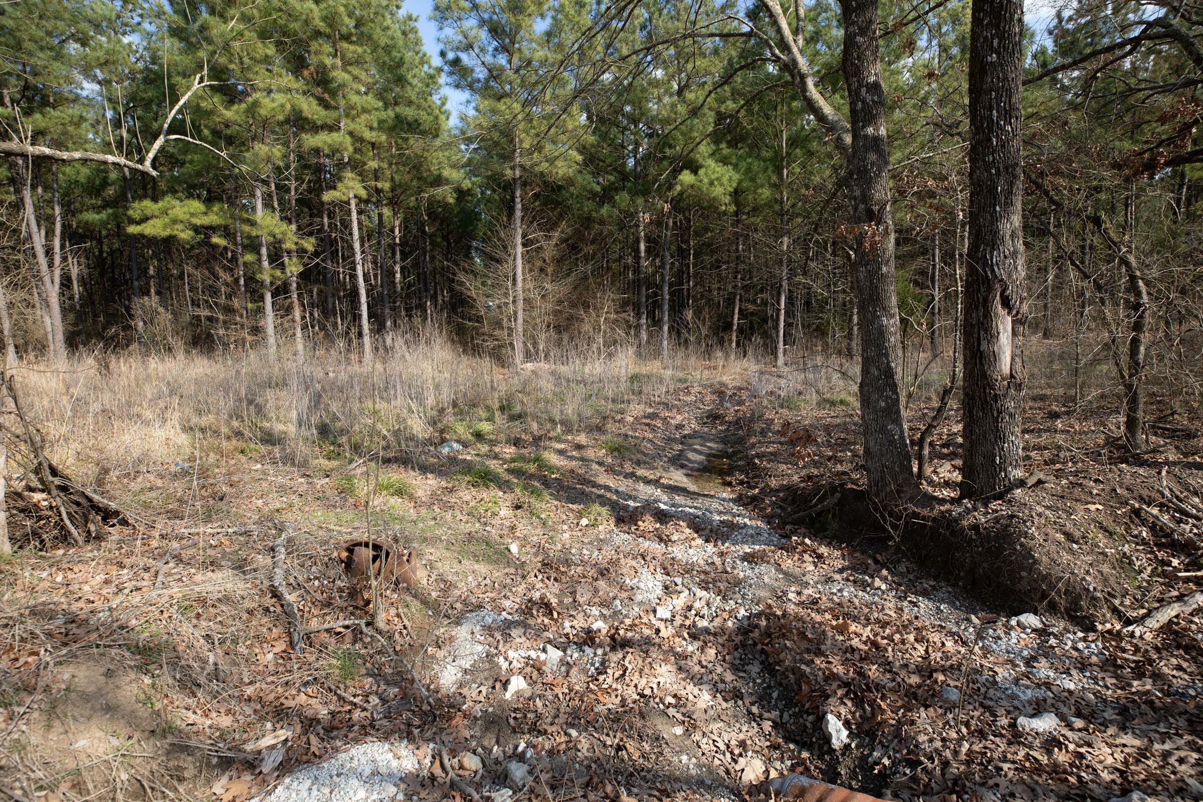 Wishing Star Ranch Tract 47 photo 11