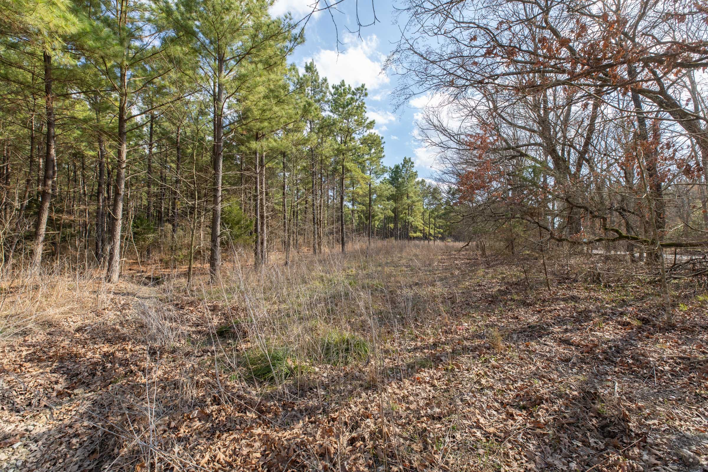 Wishing Star Ranch Tract 47 photo 12