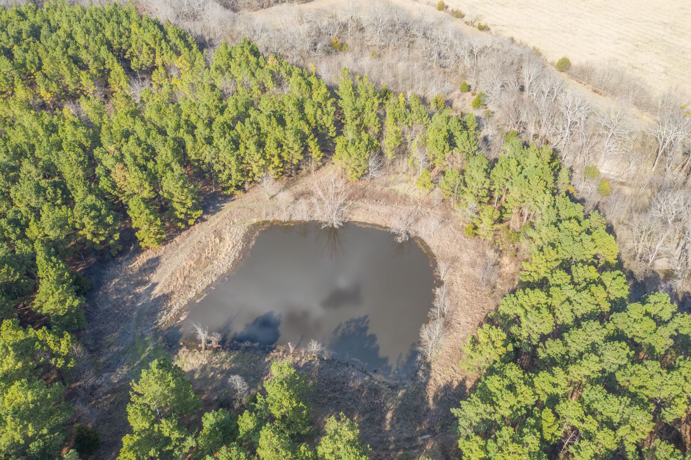 Wishing Star Ranch Tract 47 photo 13