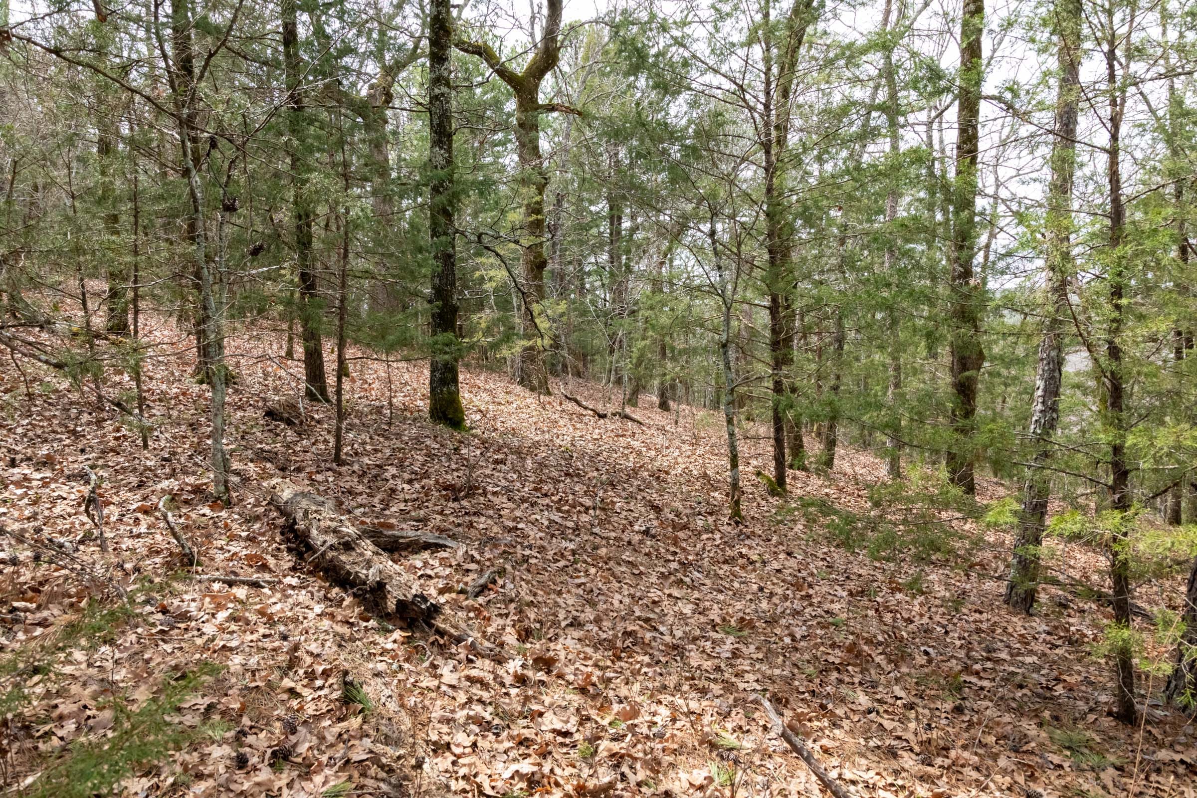 Stone Bridge Phase III Tract 166 photo 4