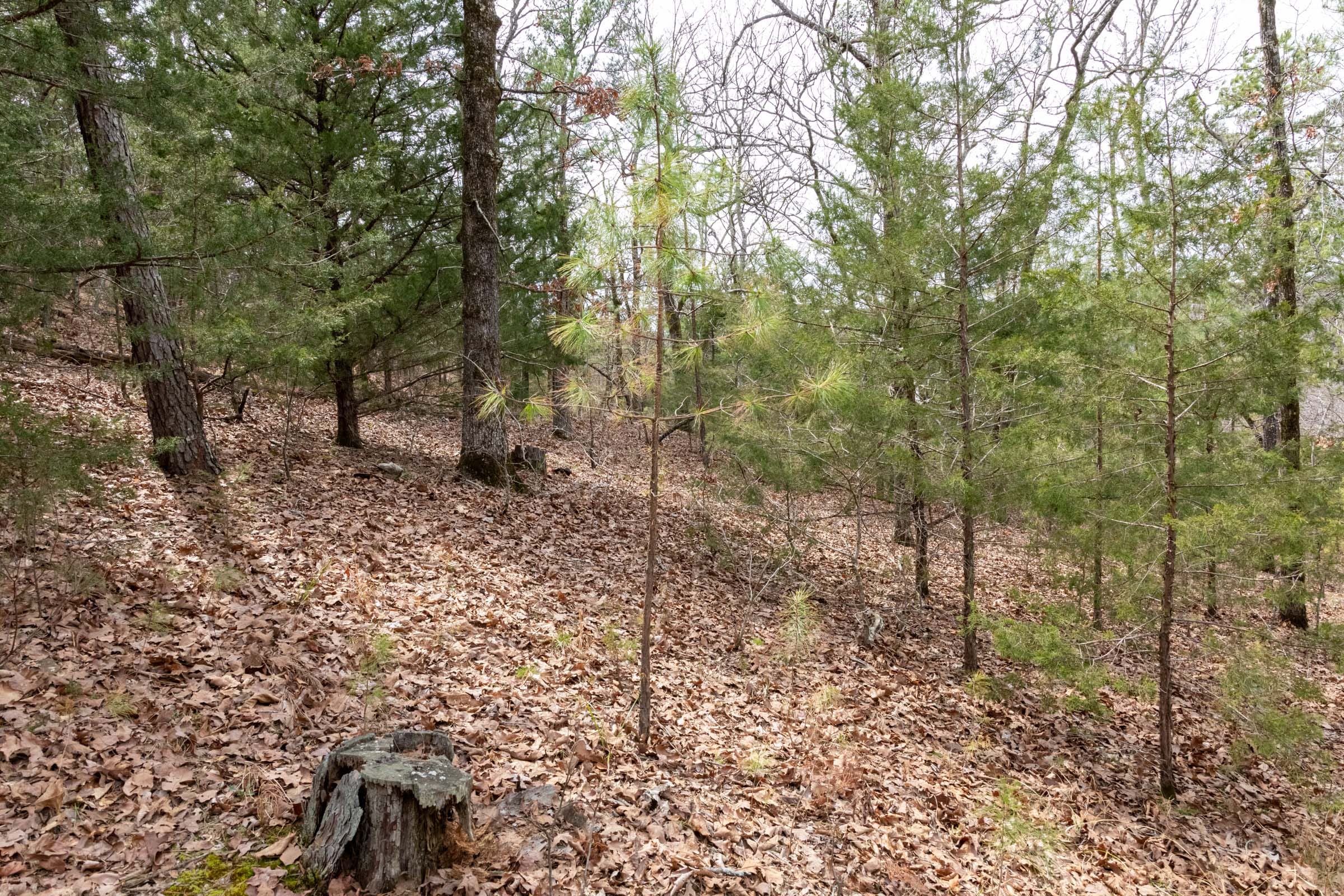 Stone Bridge Phase III Tract 166 photo 10