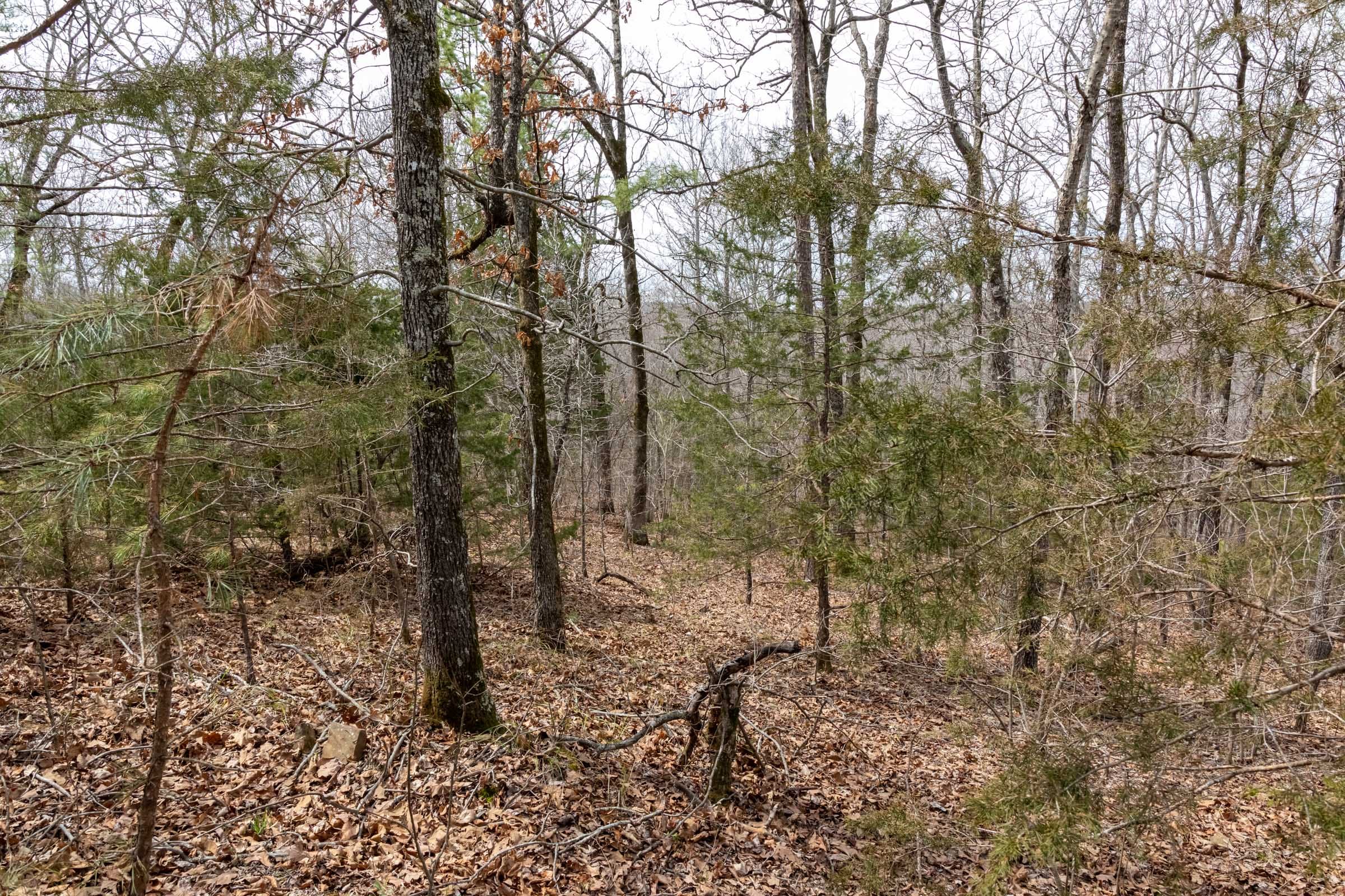 Stone Bridge Phase III Tract 166 photo 12