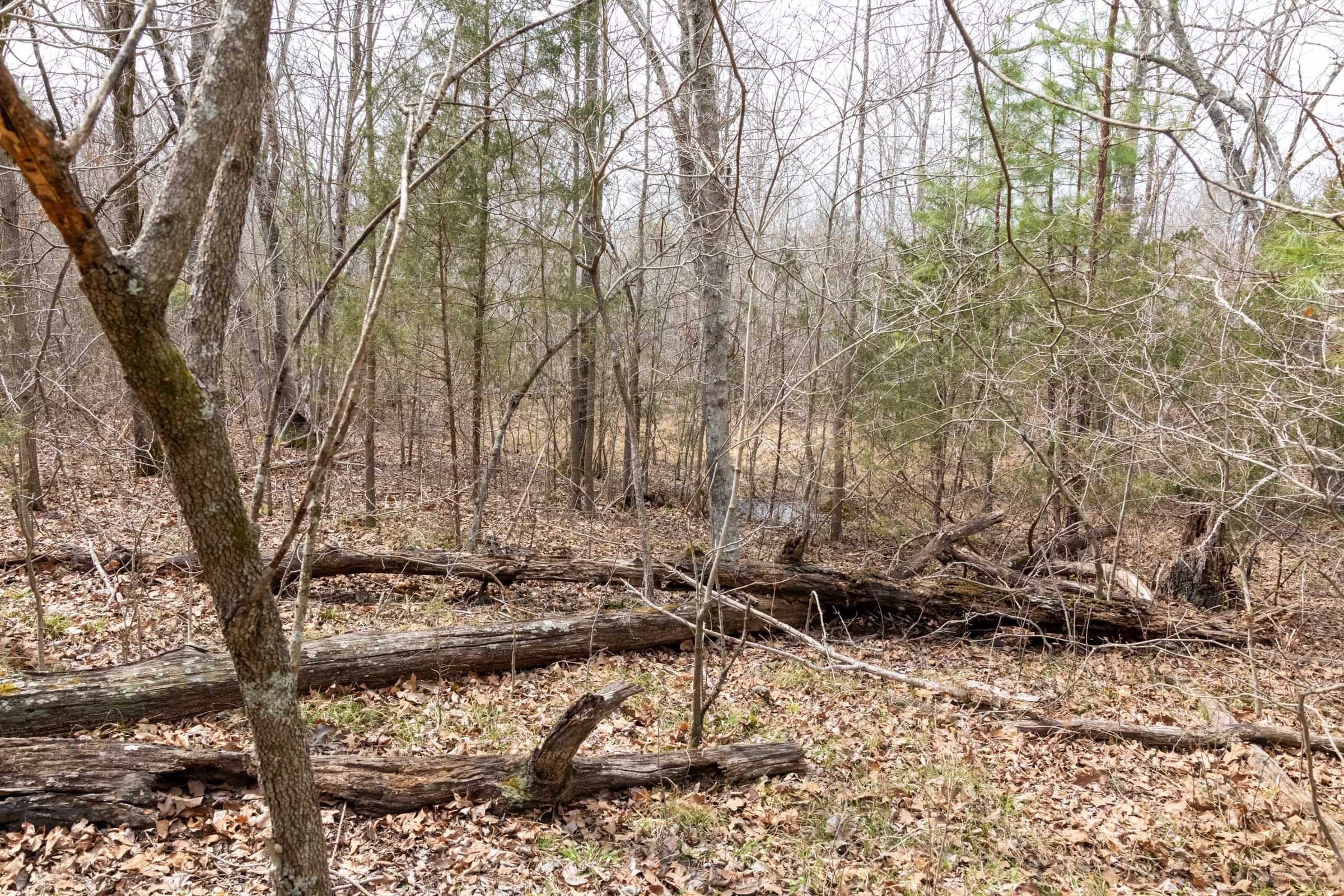 Stone Bridge Phase III Tract 166 photo 13