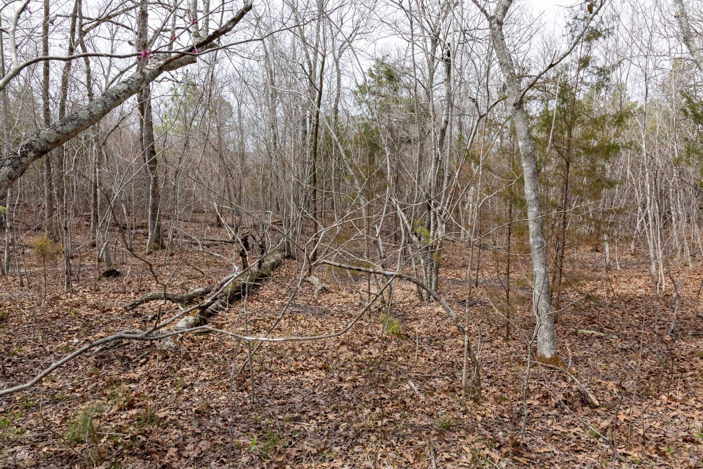 Stone Bridge Phase III Tract 166 photo 14