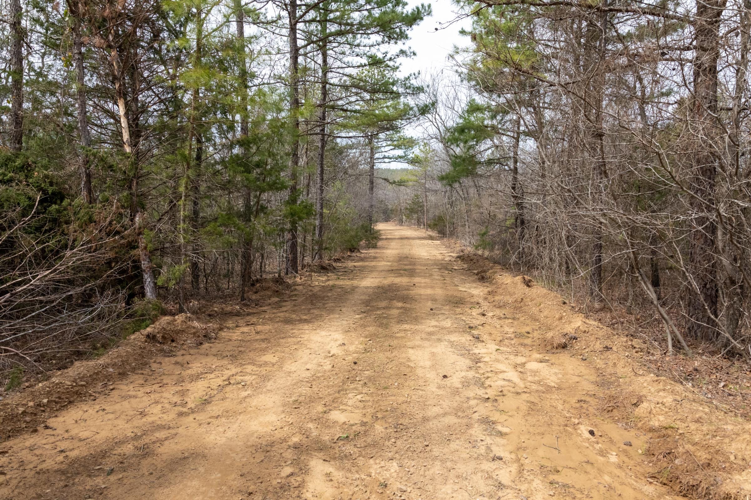 Stone Bridge Phase III Tract 166 photo 2