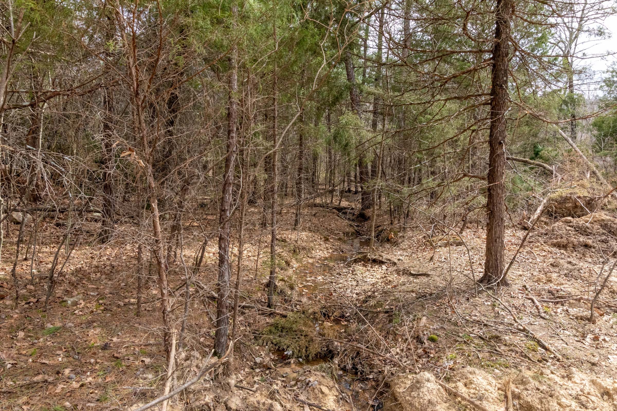 Stone Bridge Phase III Tract 166 photo 15