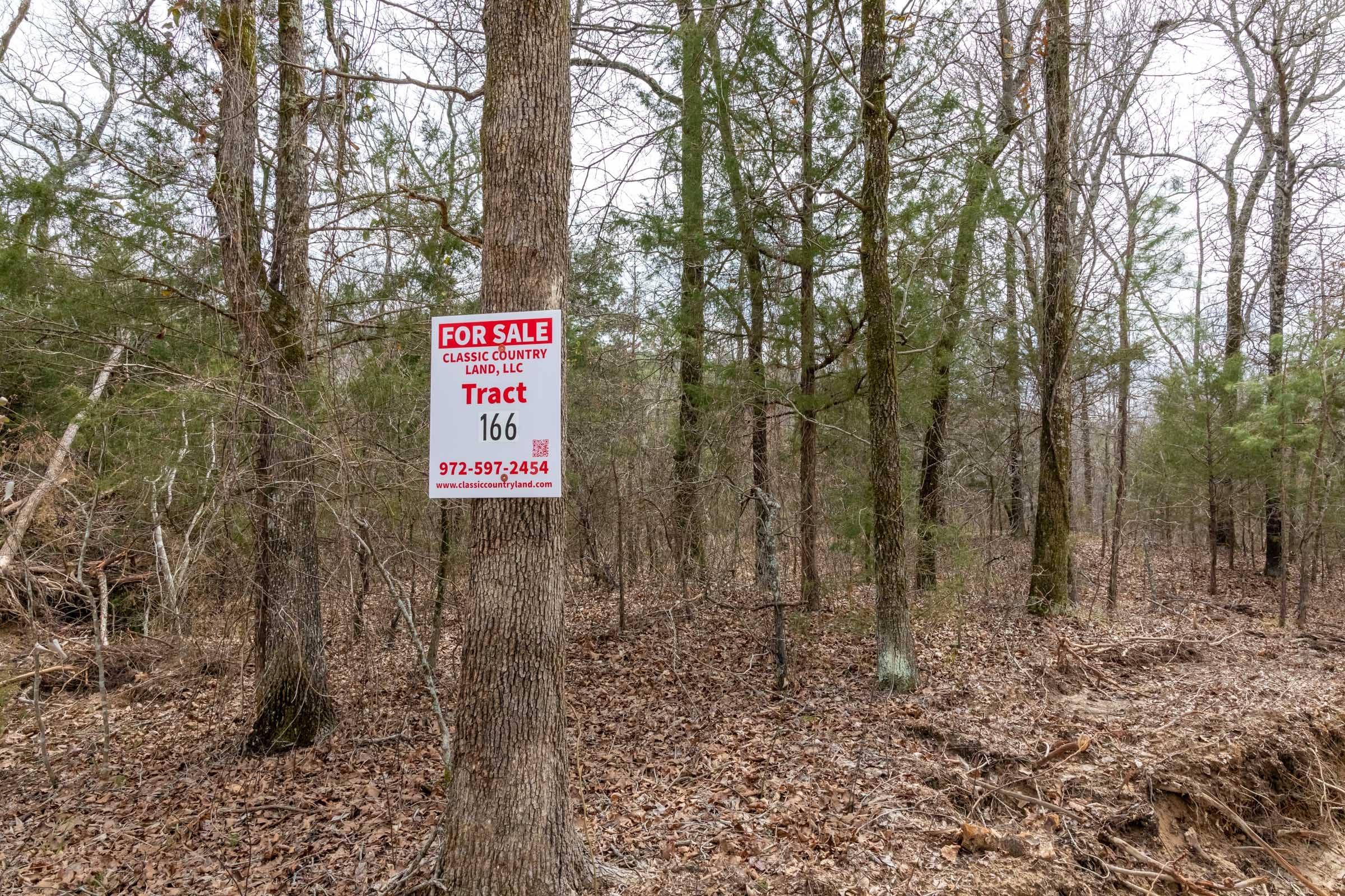 Stone Bridge Phase III Tract 166 photo 1