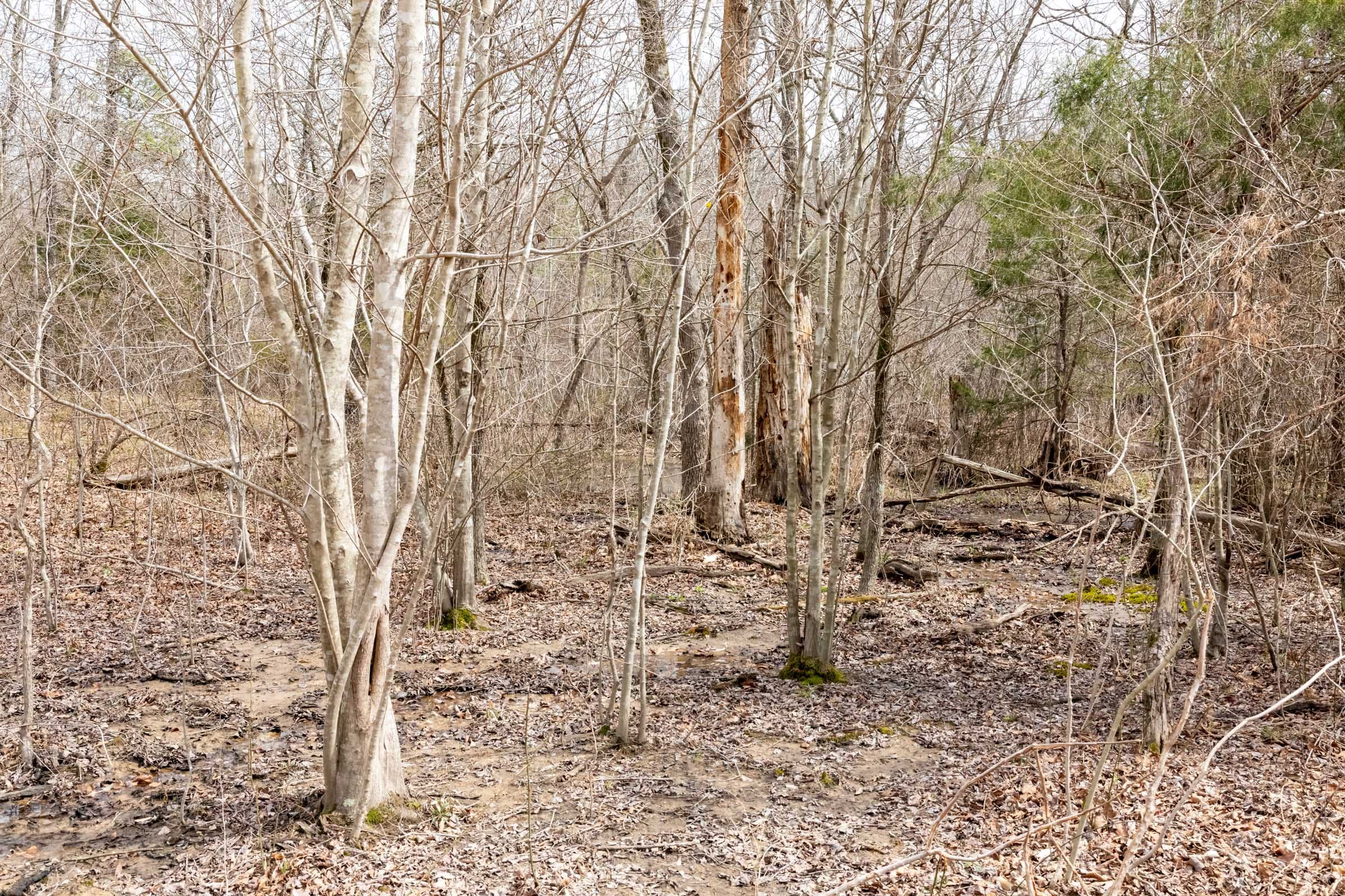 Stone Bridge Phase III Tract 166 photo 16