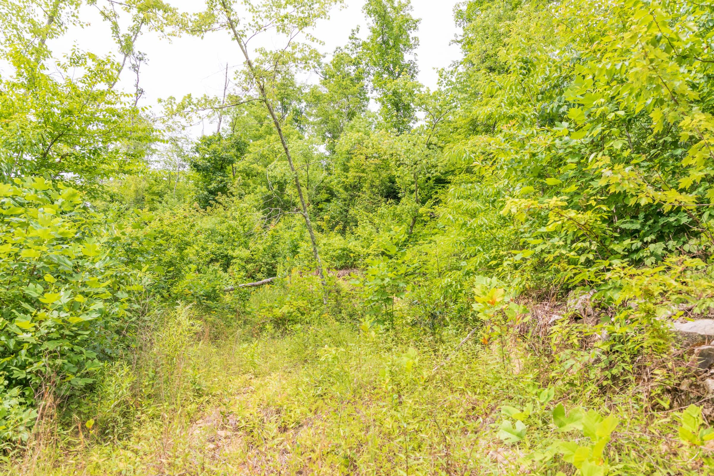 River’s Edge Tract 34 photo 3
