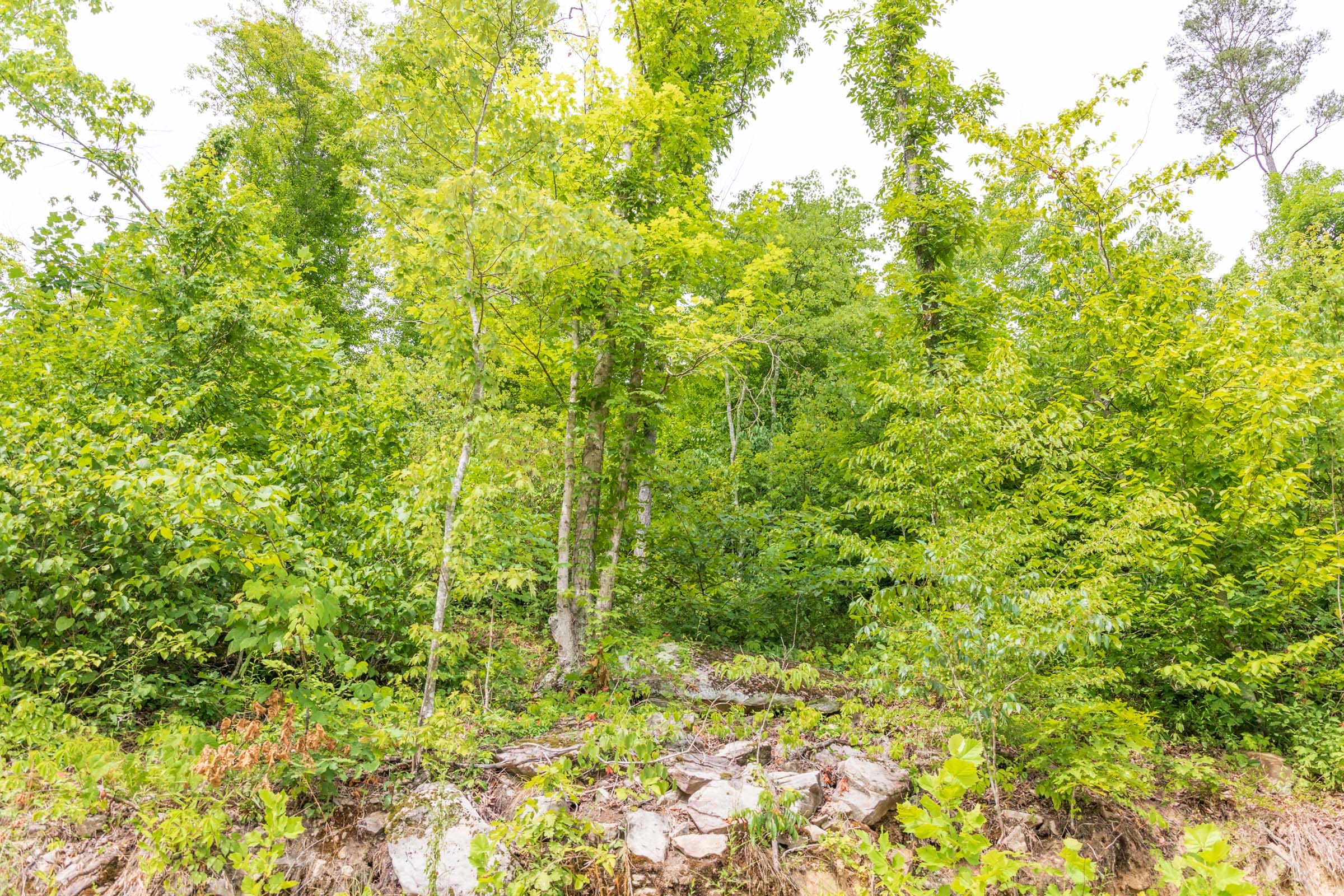 River’s Edge Tract 34 photo 5