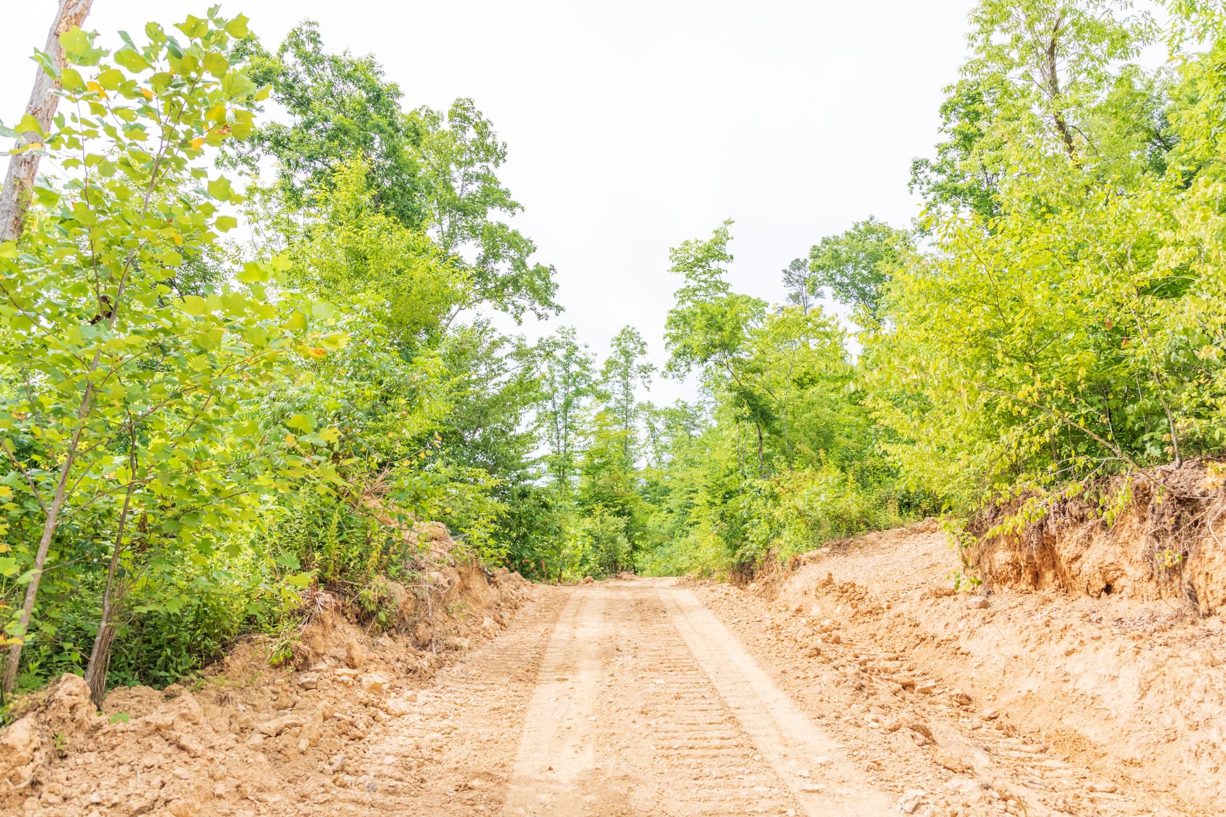 River’s Edge Tract 34 photo 10