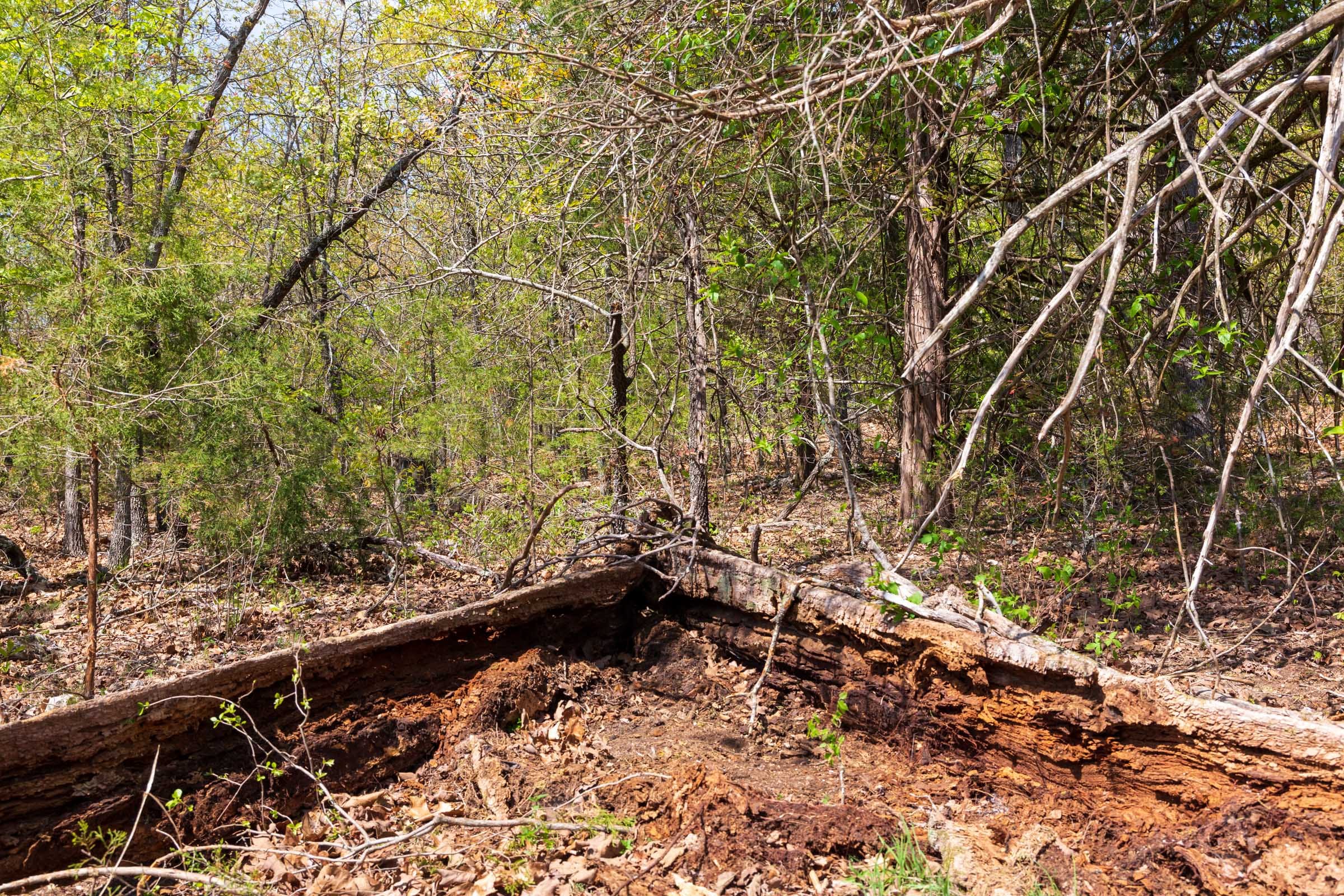 Autumnwood Tract 9 photo 9