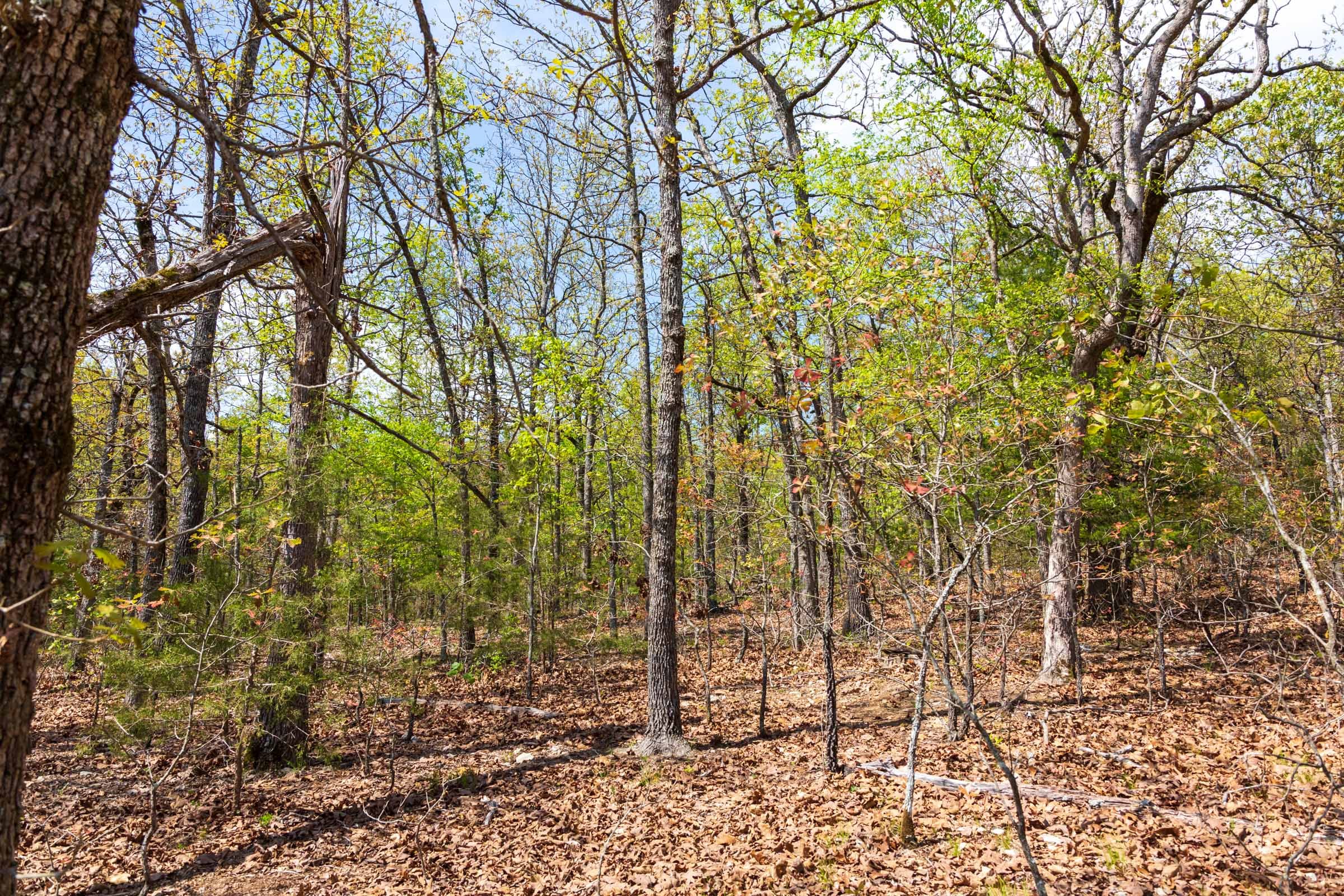 Autumnwood Tract 9 photo 11