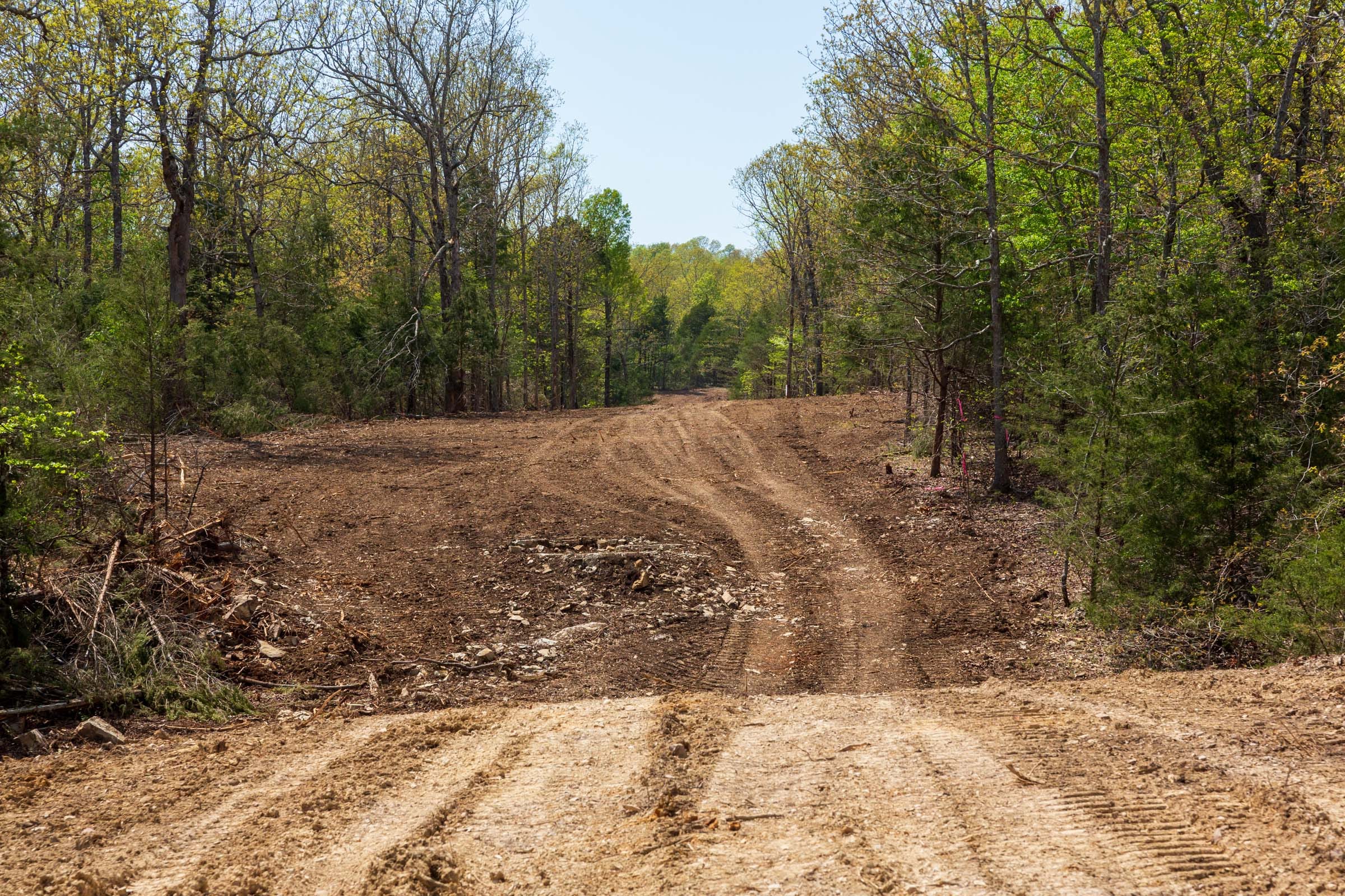 Autumnwood Tract 9 photo 12