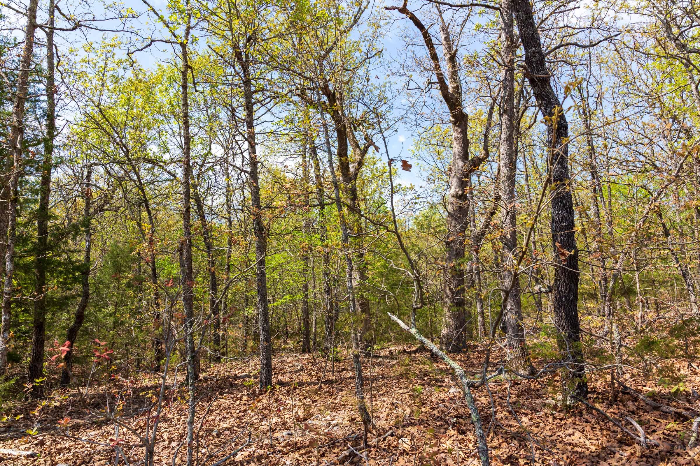 Autumnwood Tract 9 photo 14