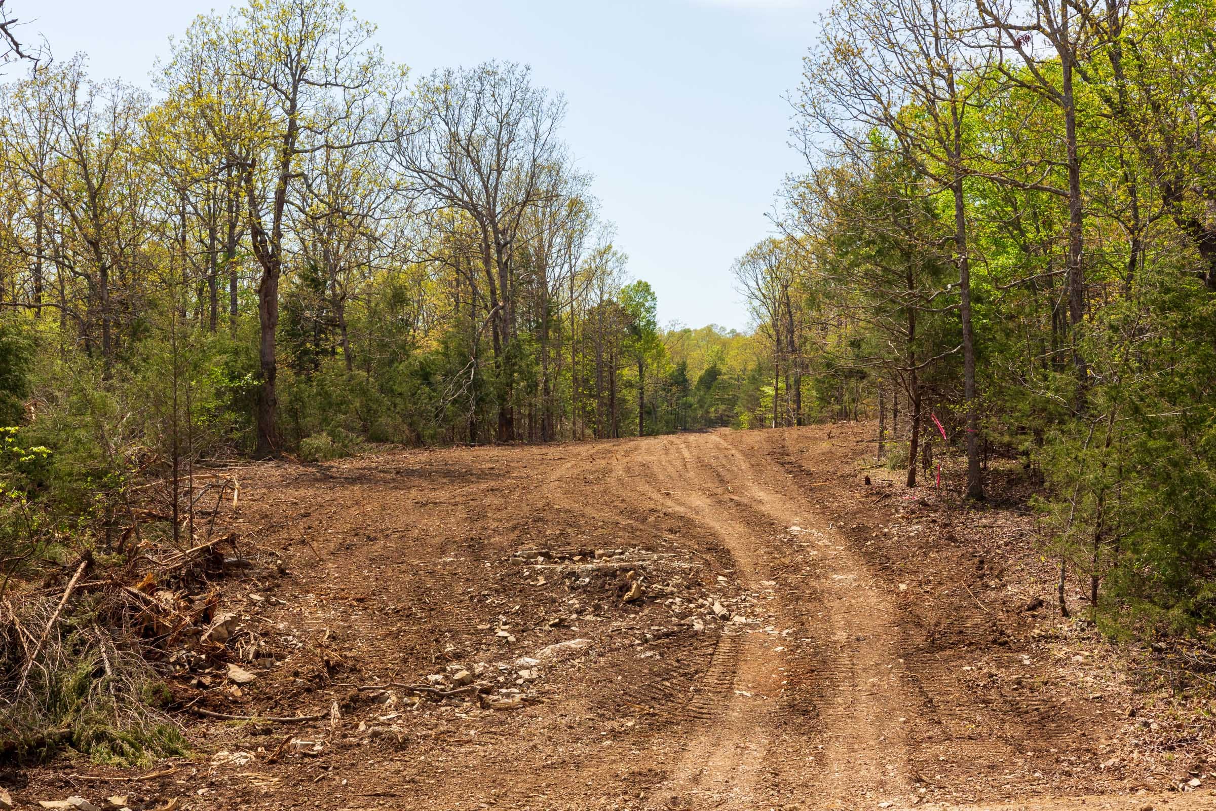 Autumnwood Tract 9 photo 15