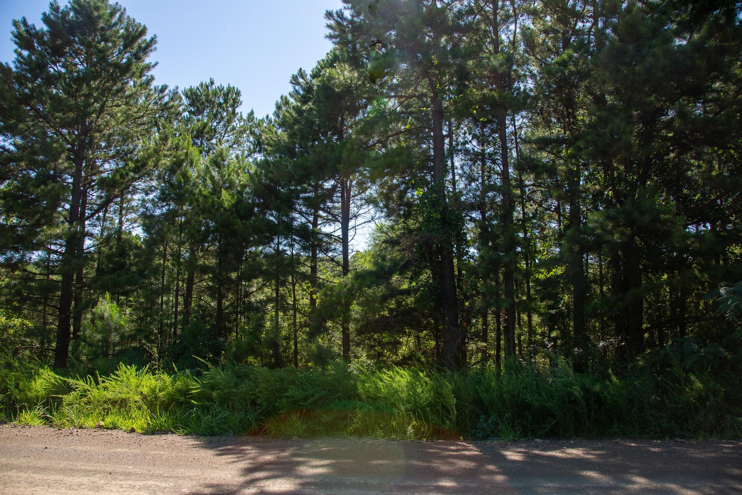 Tyler Stone Ranch Tract 6 photo 2