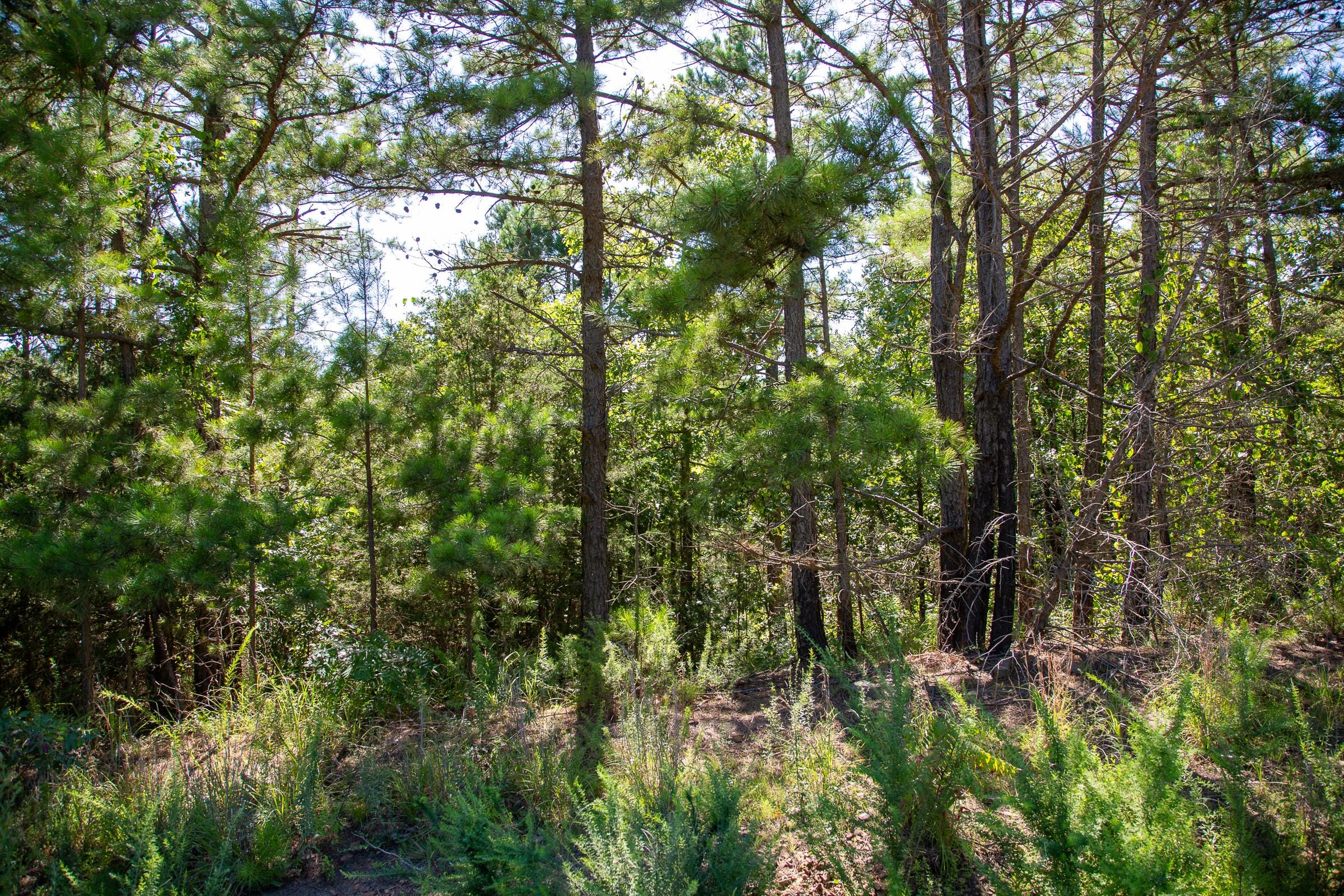 Tyler Stone Ranch Tract 6 photo 9