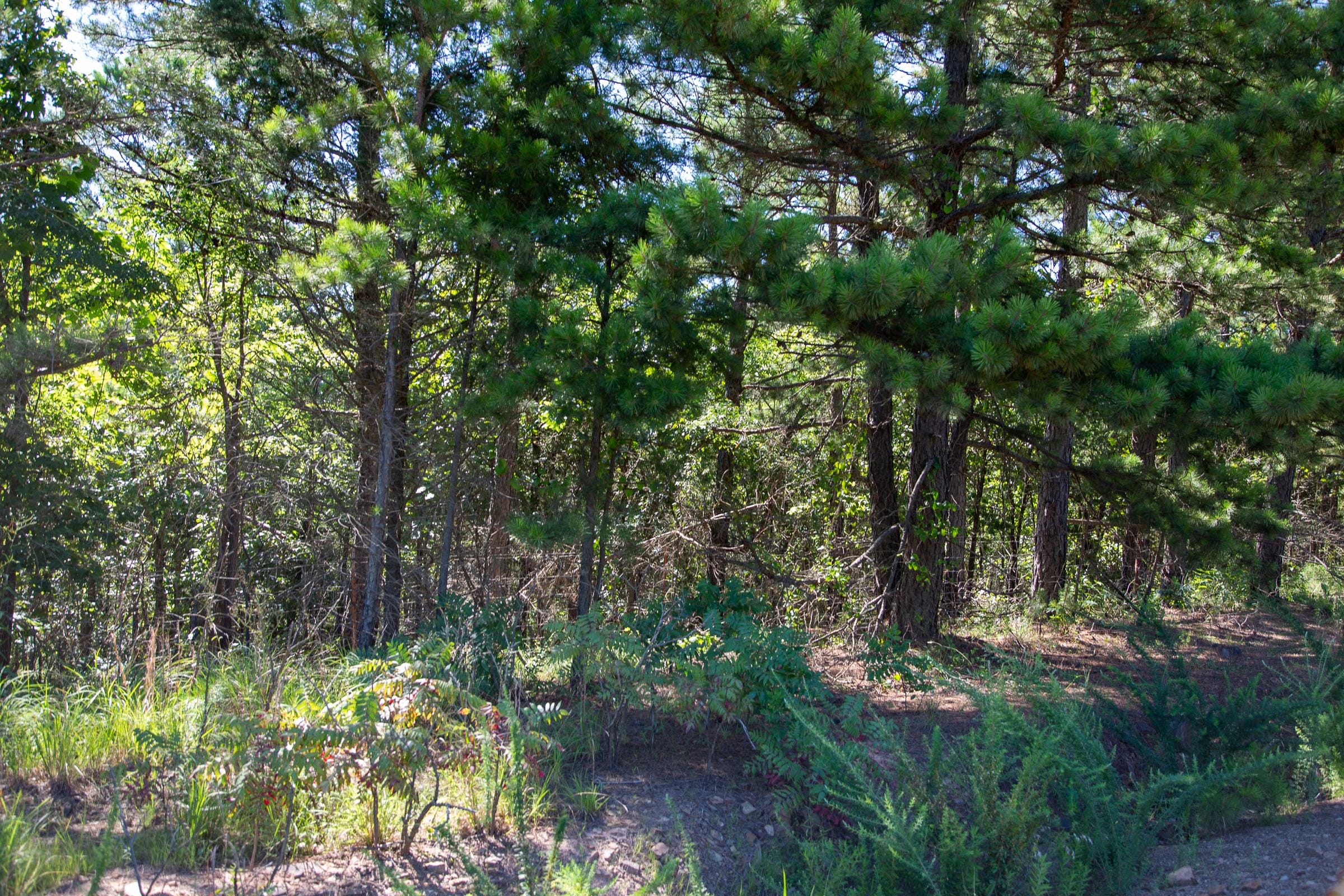 Tyler Stone Ranch Tract 6 photo 10