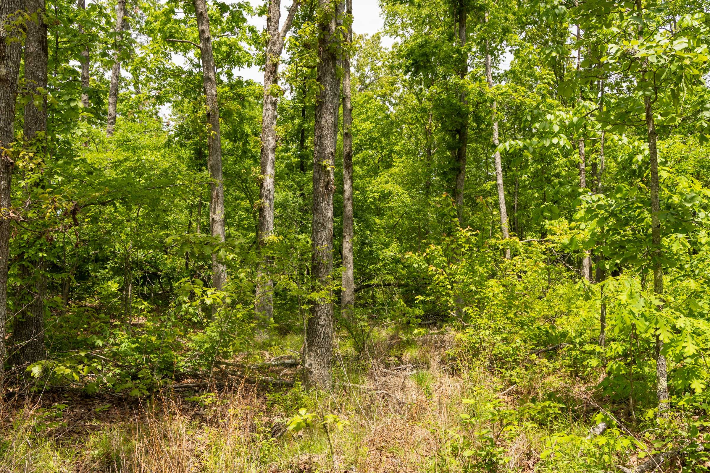 Stardust Estates Tract 13 photo 6