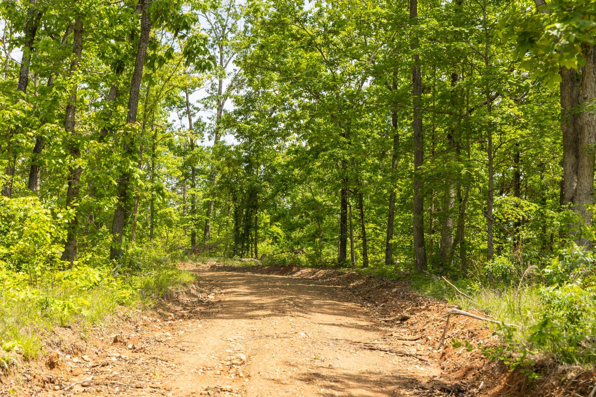 Stardust Estates Tract 13 photo 4