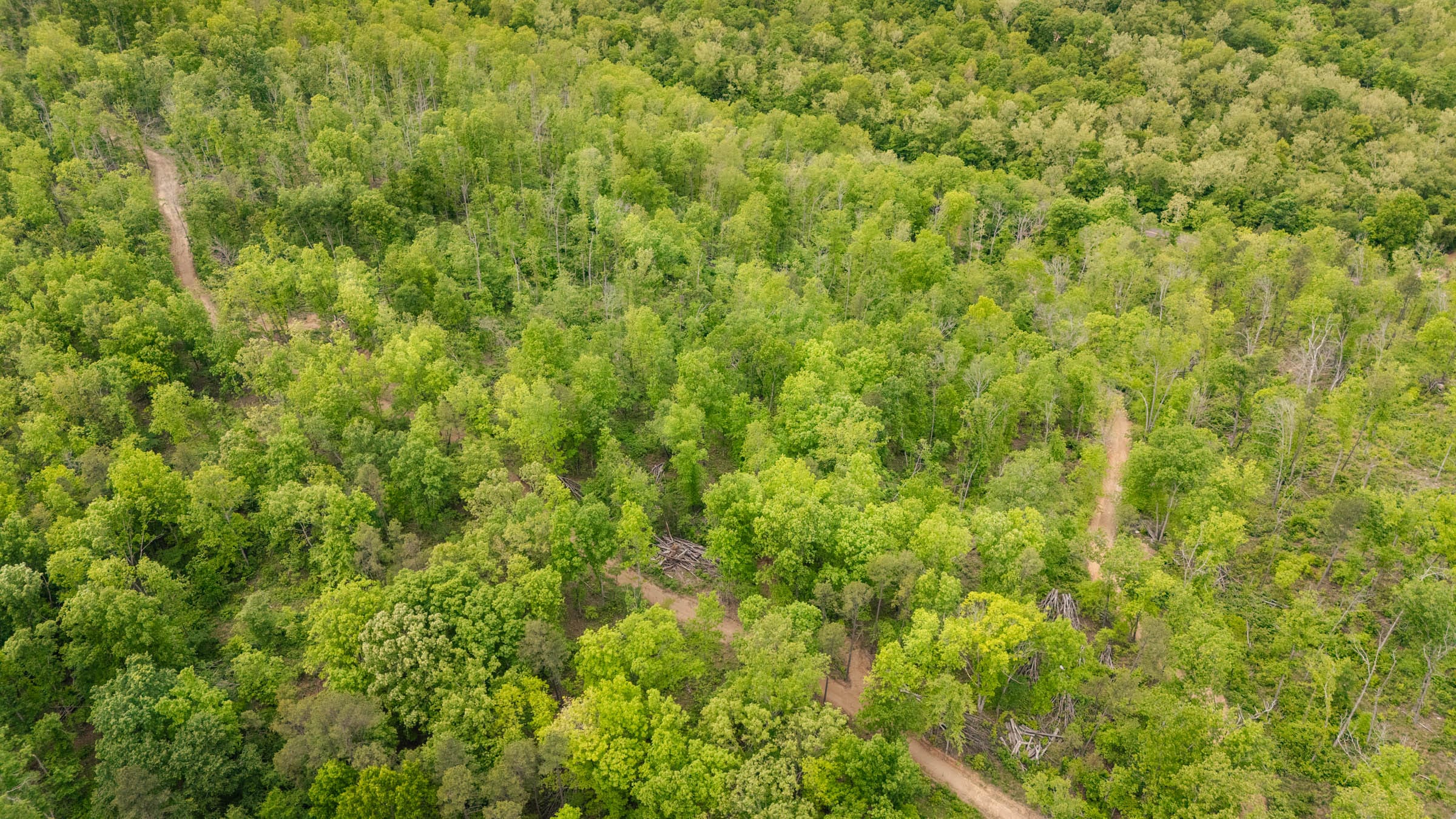 Stardust Estates Tract 13 photo 1