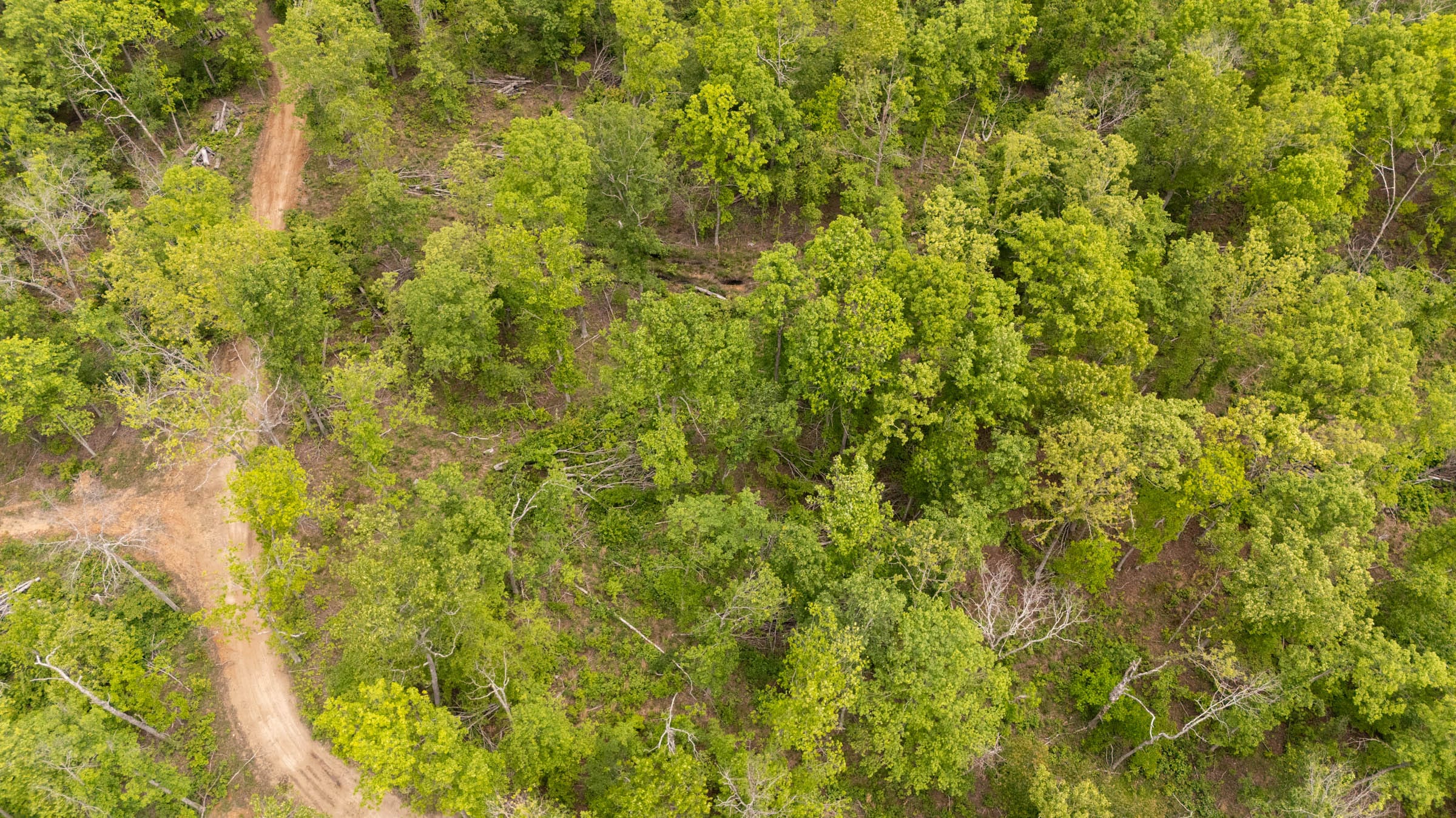 Stardust Estates Tract 5 photo 9
