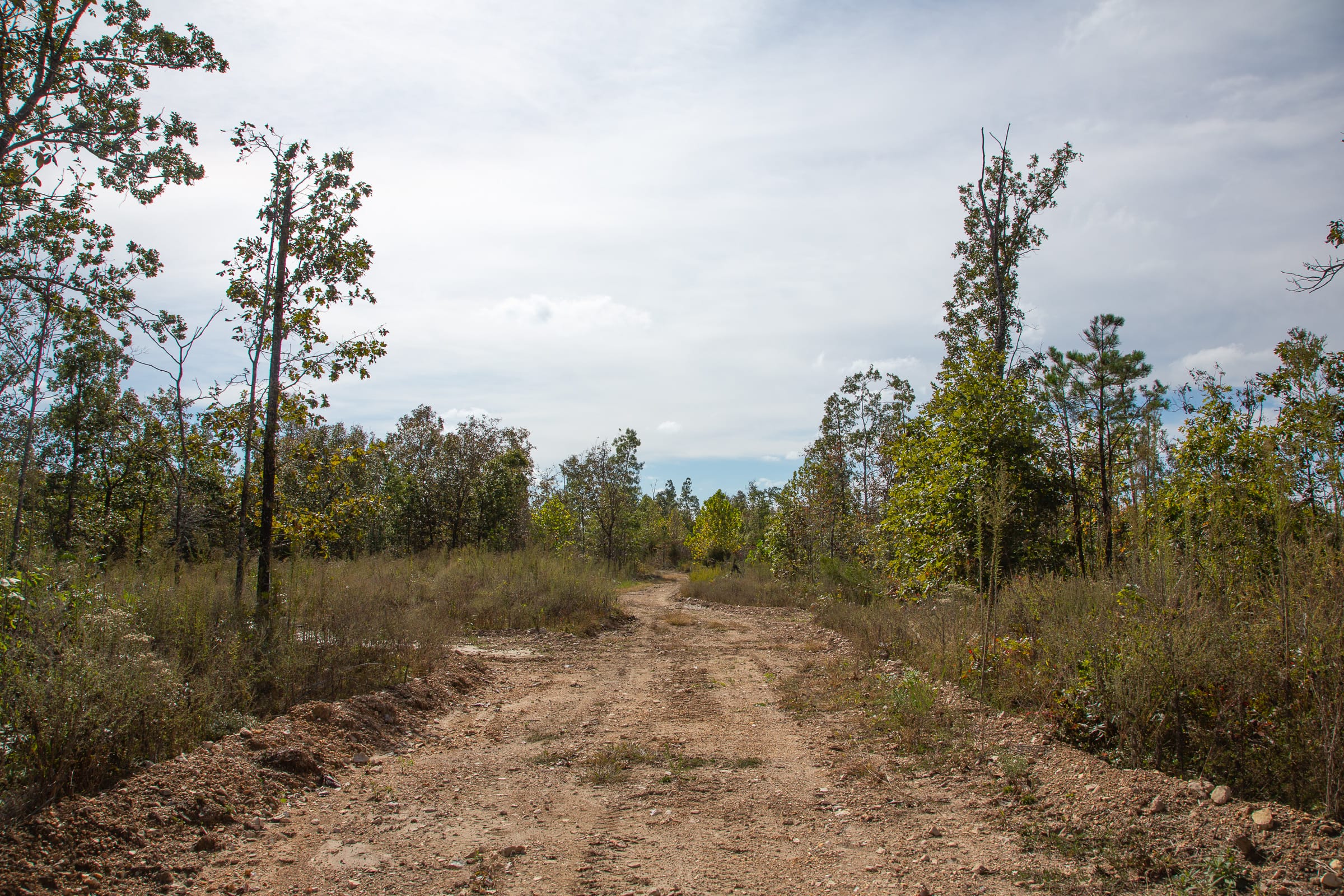 Borgmann’s Hollow Phase IV Tract 119 photo 1