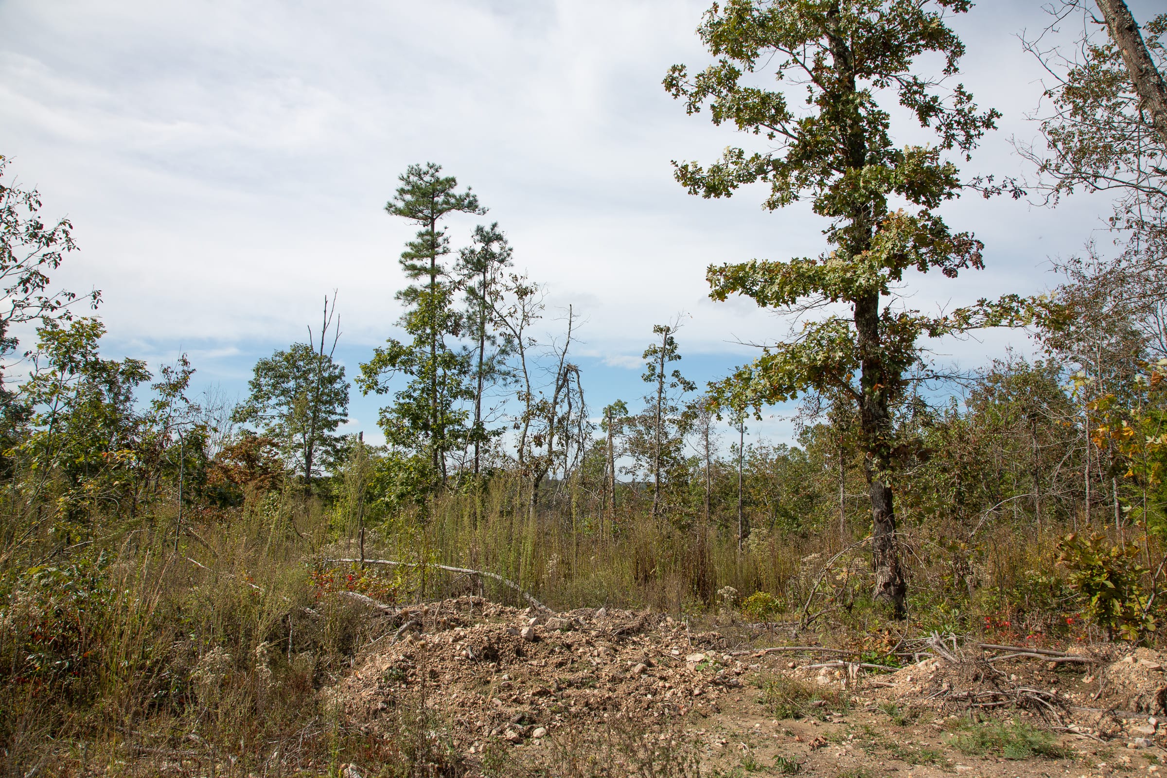 Borgmann’s Hollow Phase IV Tract 119 photo 4