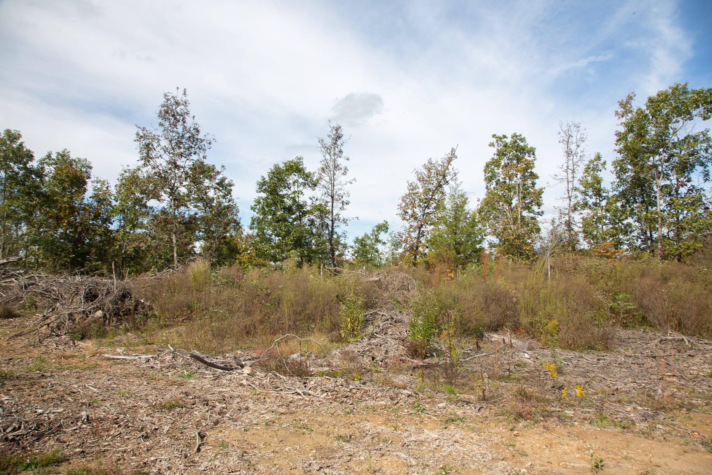Borgmann’s Hollow Phase IV Tract 119 photo 8