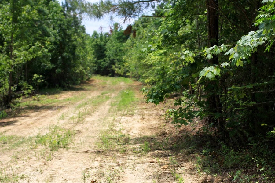 Bluebird Ranch Tract 8 photo 2