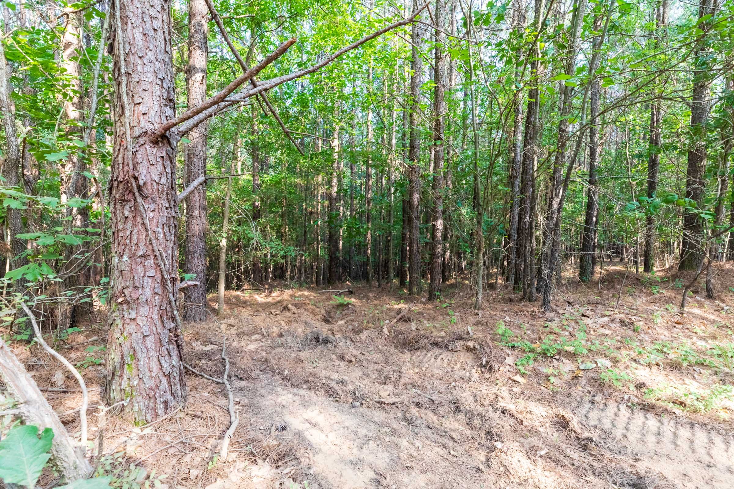 Whiskey Ridge Tract 59 photo 3