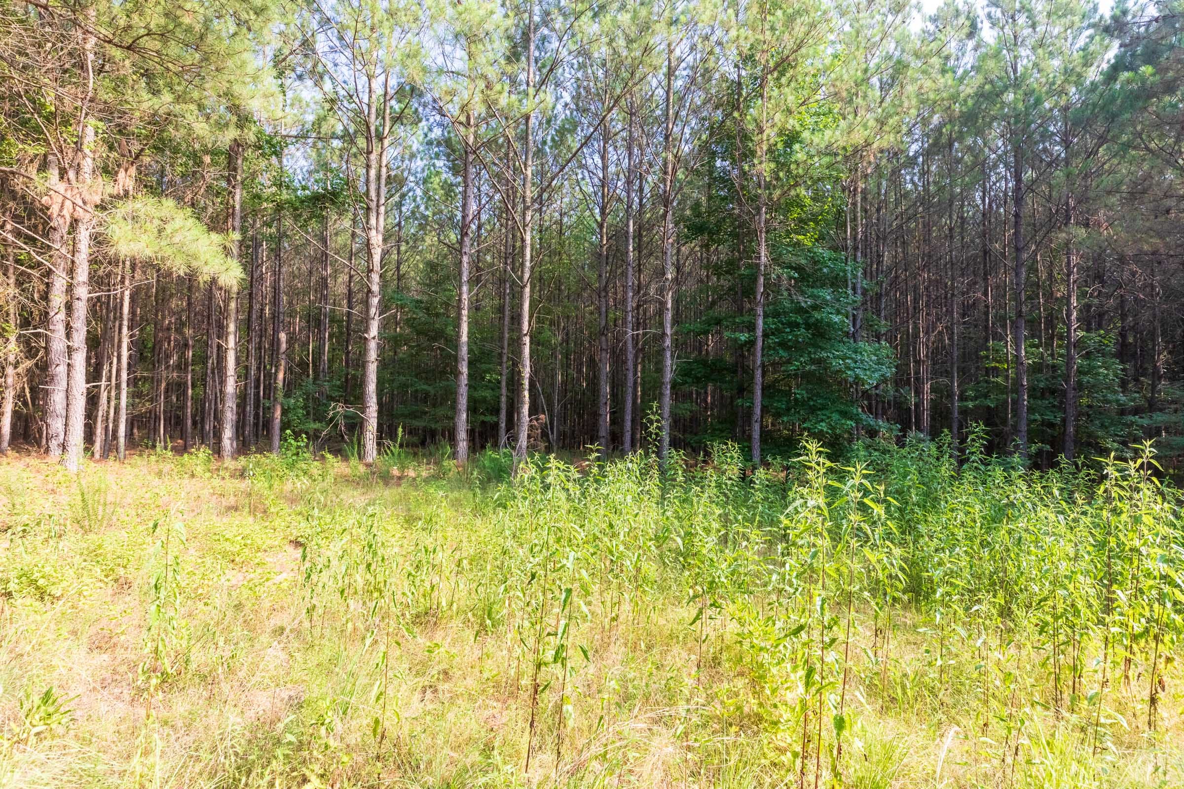 Whiskey Ridge Tract 59 photo 1