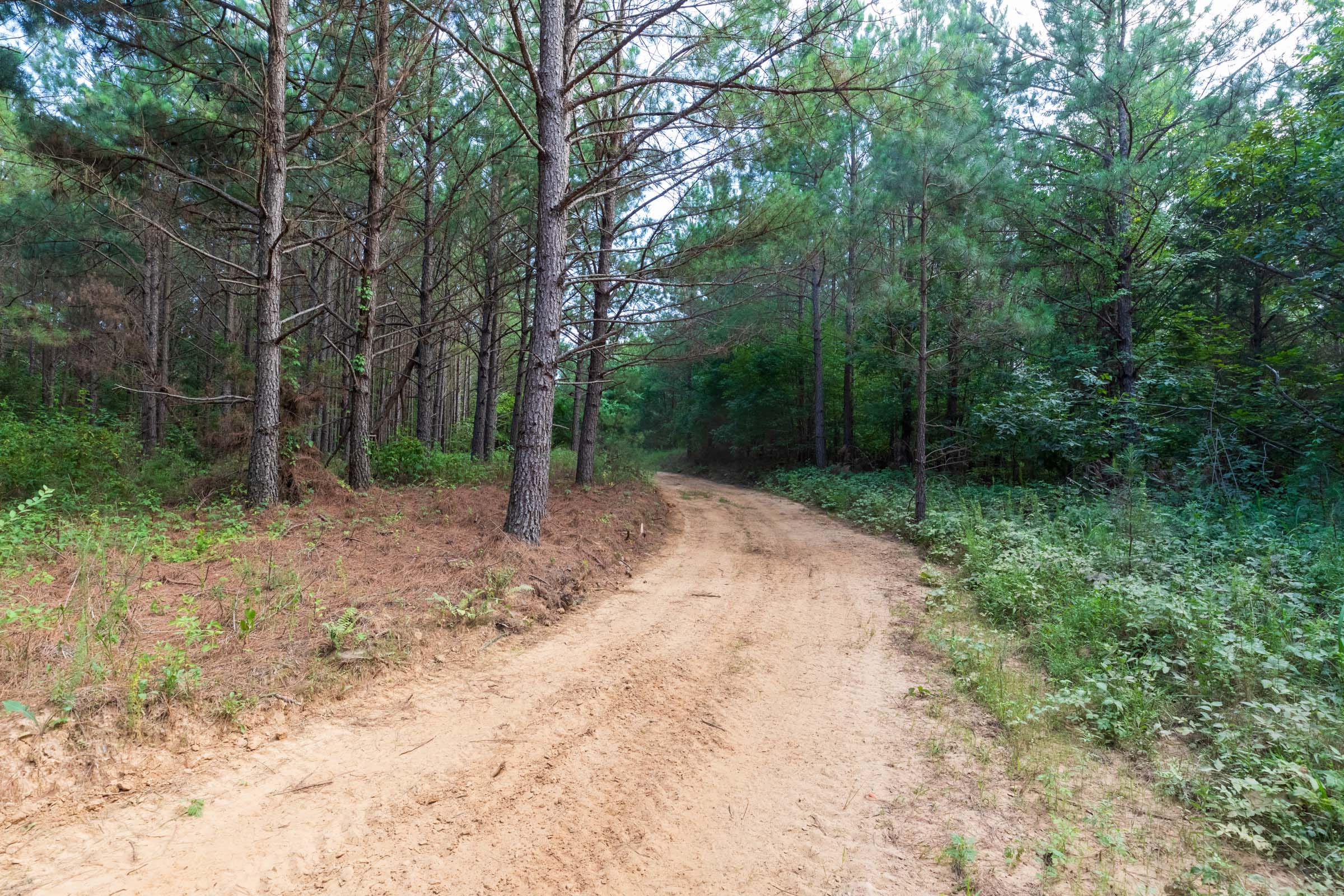 Whiskey Ridge Tract 59 photo 2