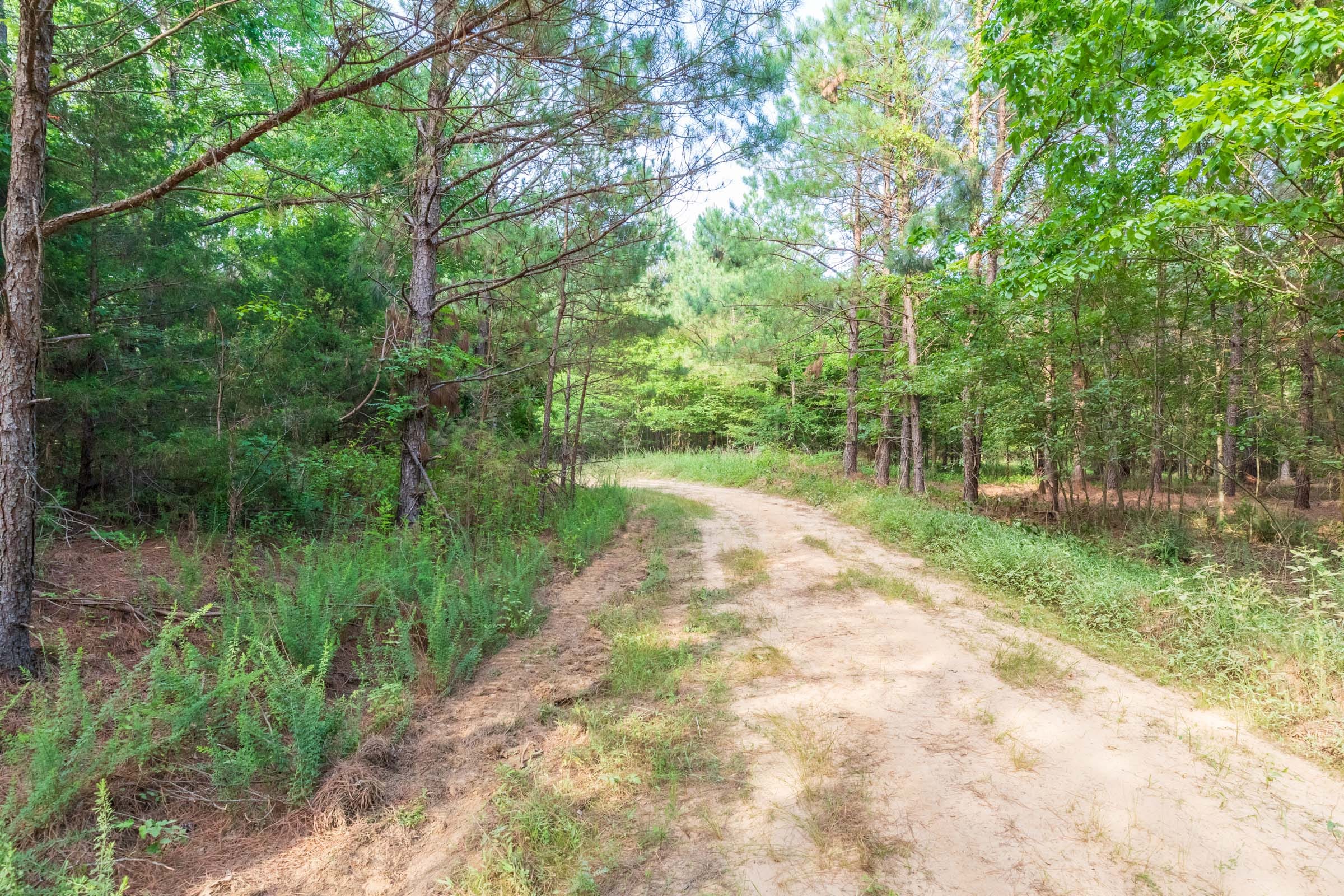 Whiskey Ridge Tract 59 photo 10
