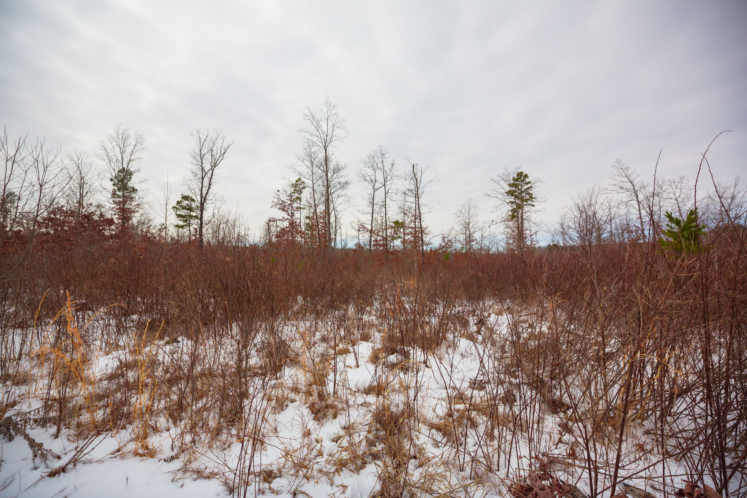 Sleepy Hollow Phase I Tract 15 photo 18