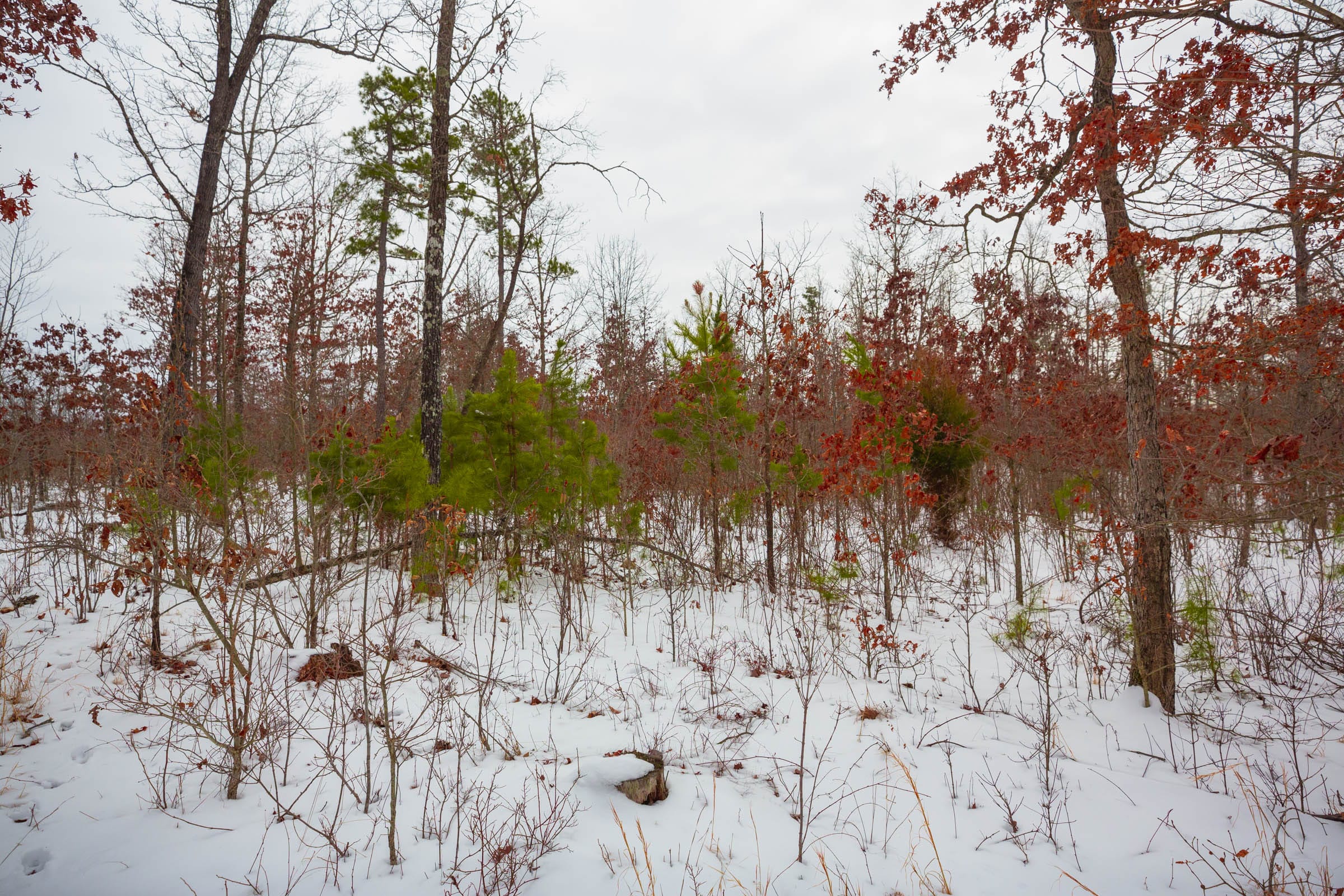Sleepy Hollow Phase I Tract 15 photo 17