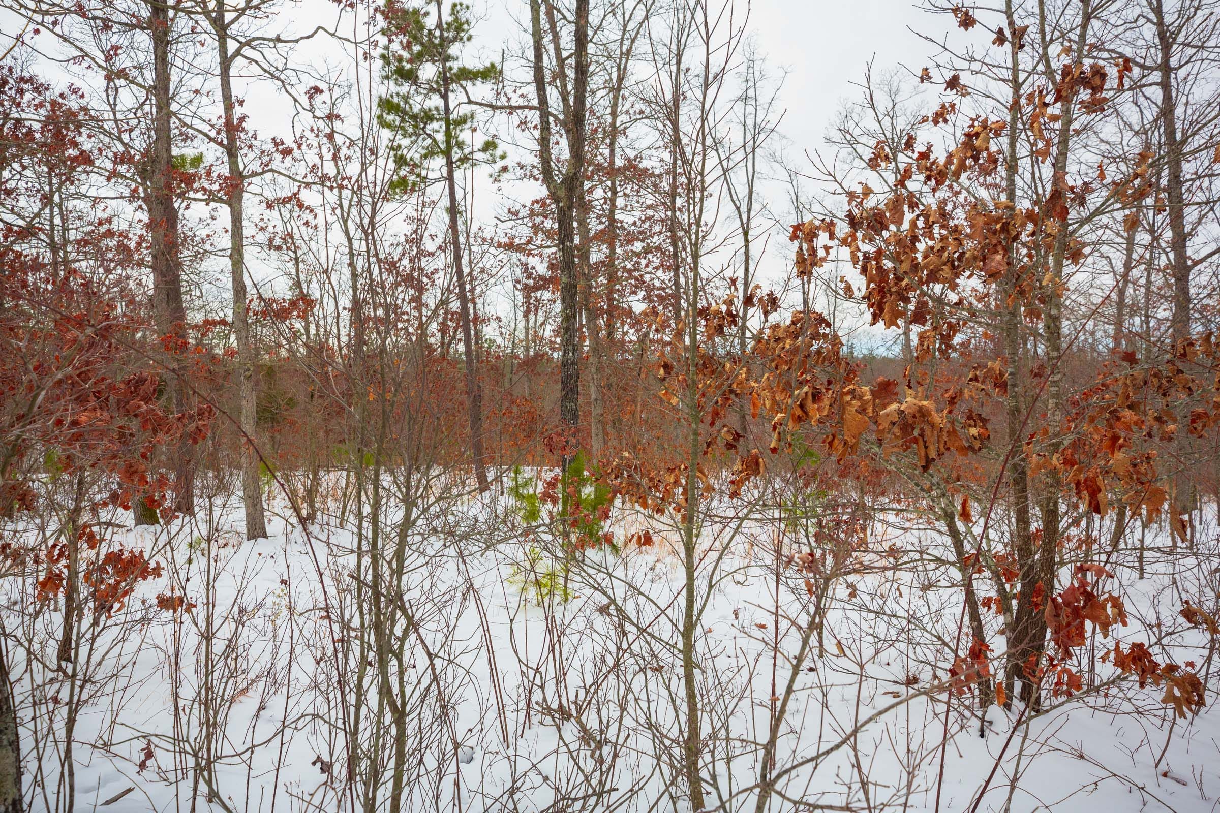 Sleepy Hollow Phase I Tract 15 photo 16