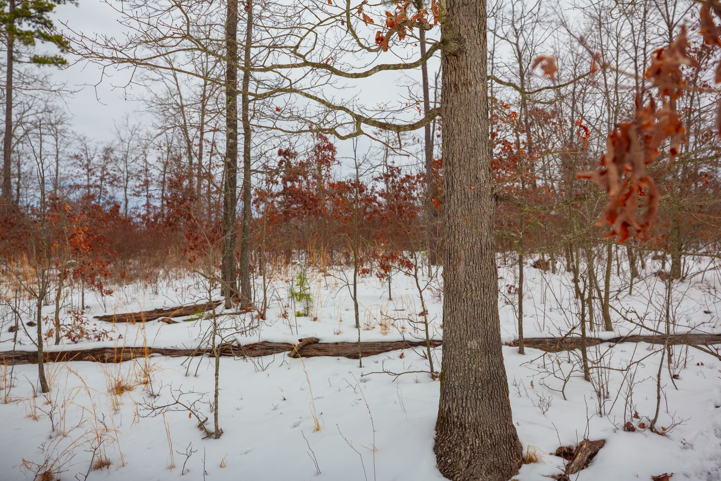 Sleepy Hollow Phase I Tract 15 photo 15