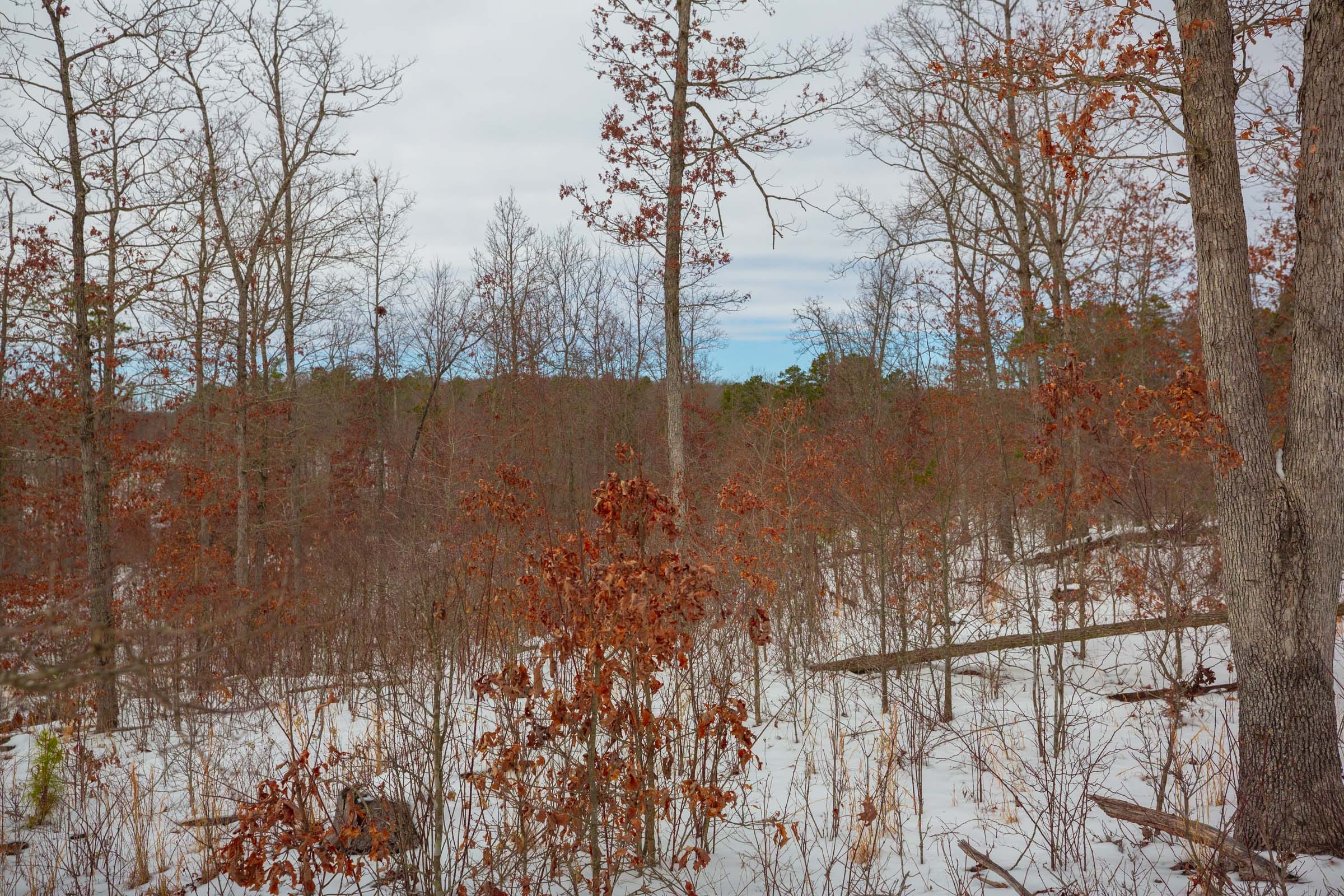 Sleepy Hollow Phase I Tract 15 photo 1