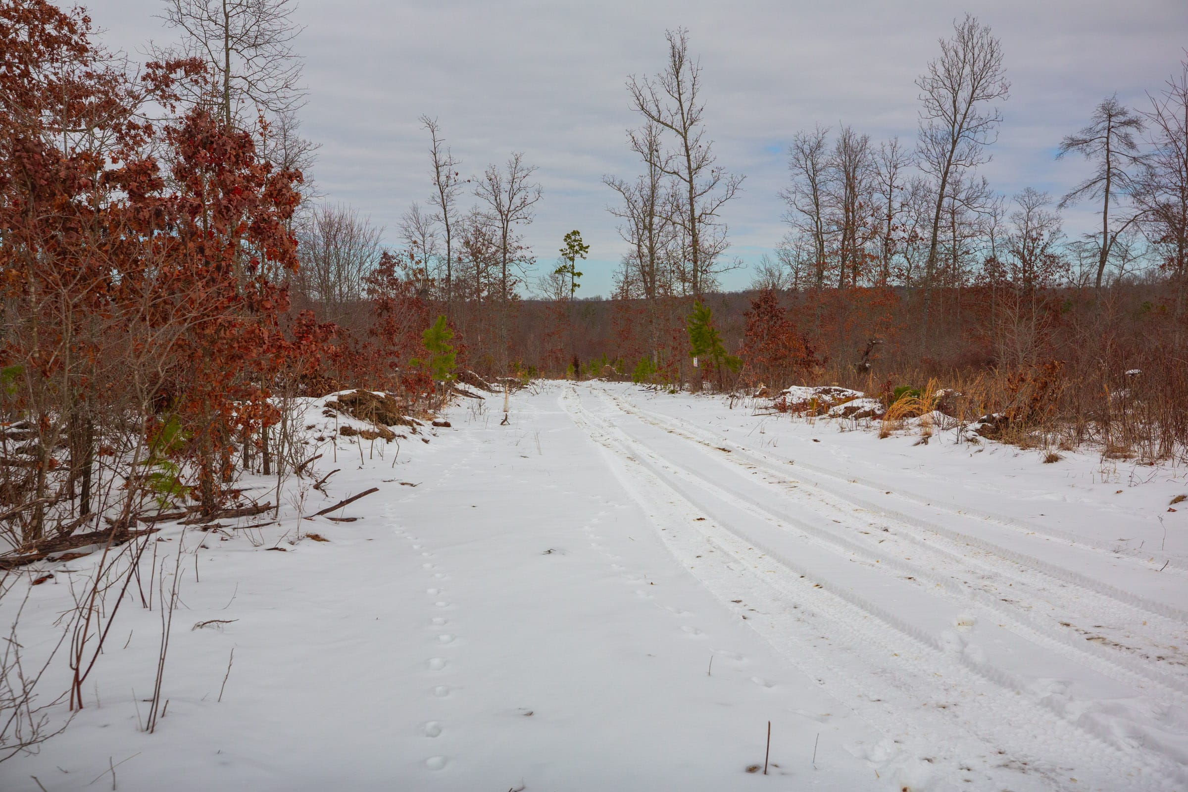 Sleepy Hollow Phase I Tract 15 photo 2