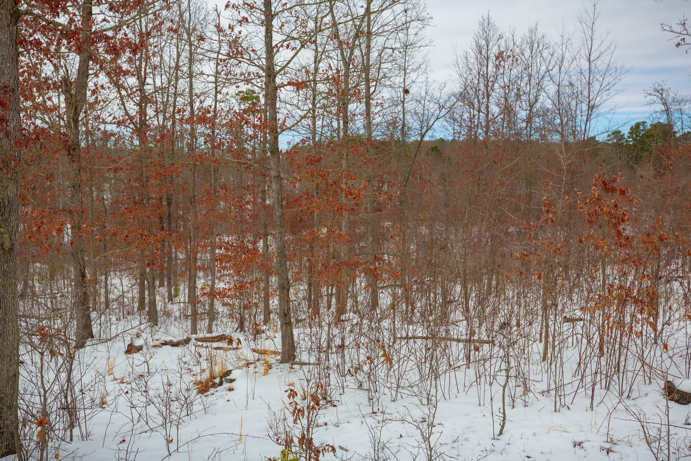 Sleepy Hollow Phase I Tract 15 photo 13