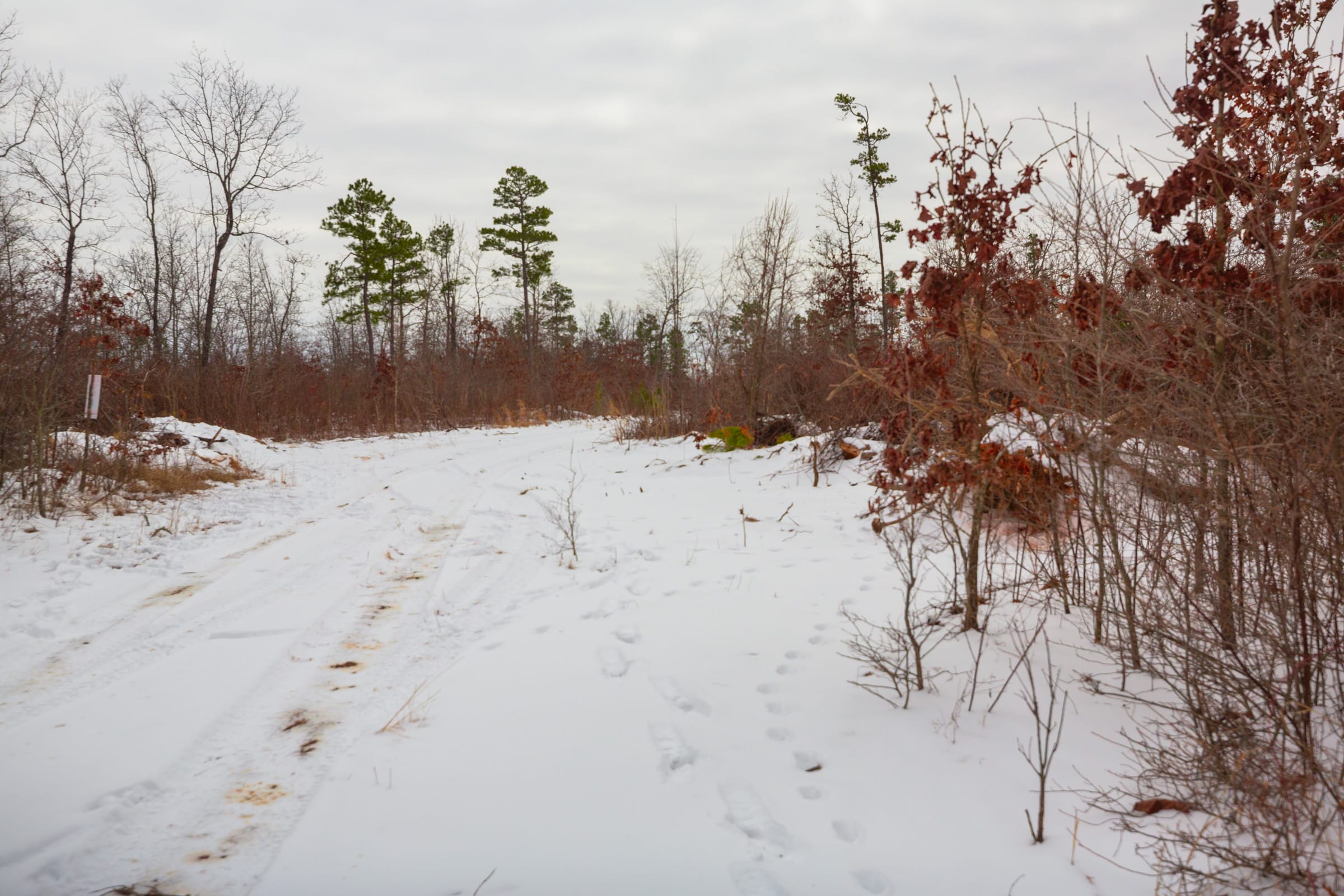 Sleepy Hollow Phase I Tract 15 photo 10