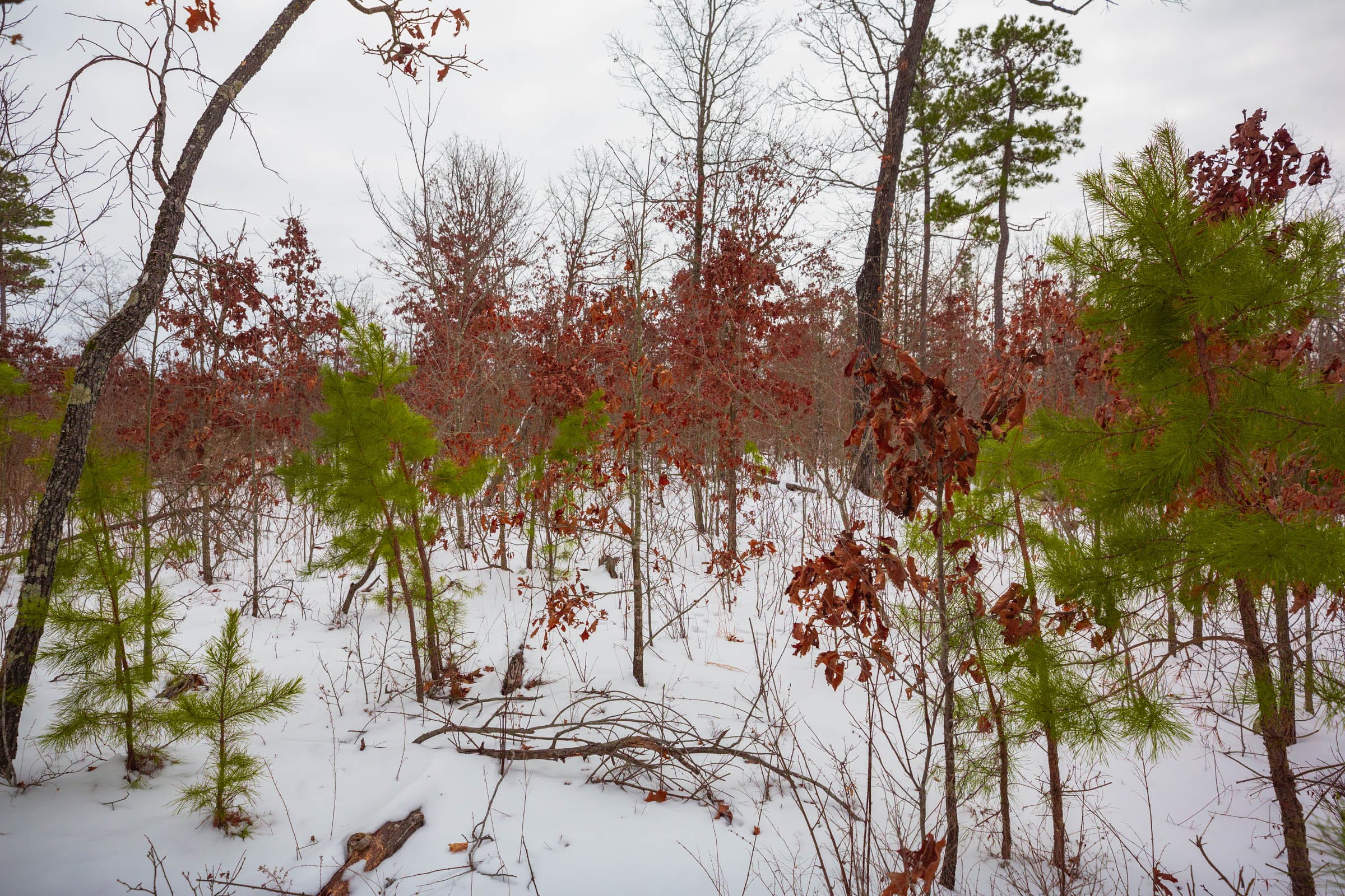 Sleepy Hollow Phase I Tract 15 photo 9