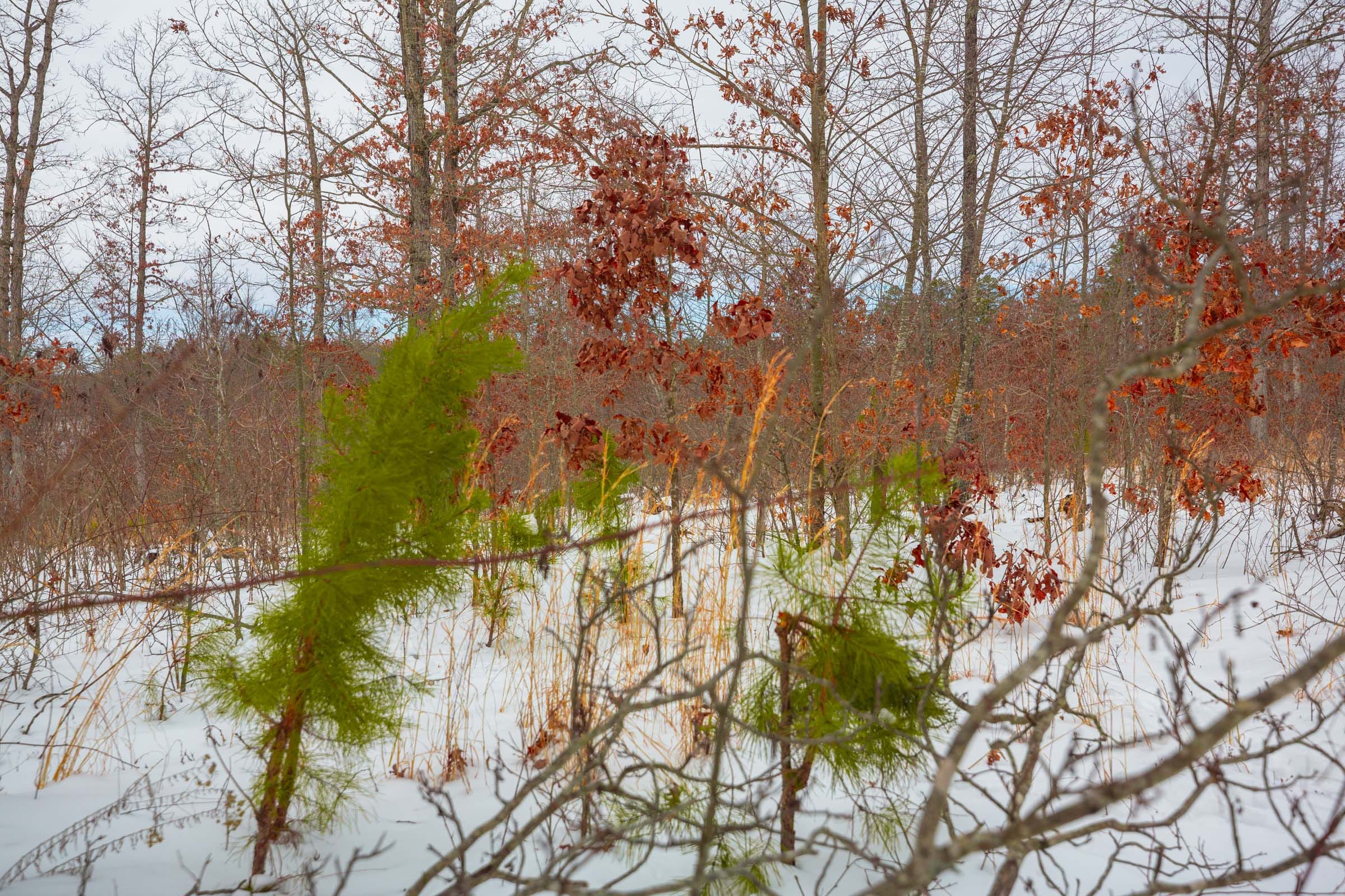 Sleepy Hollow Phase I Tract 15 photo 7