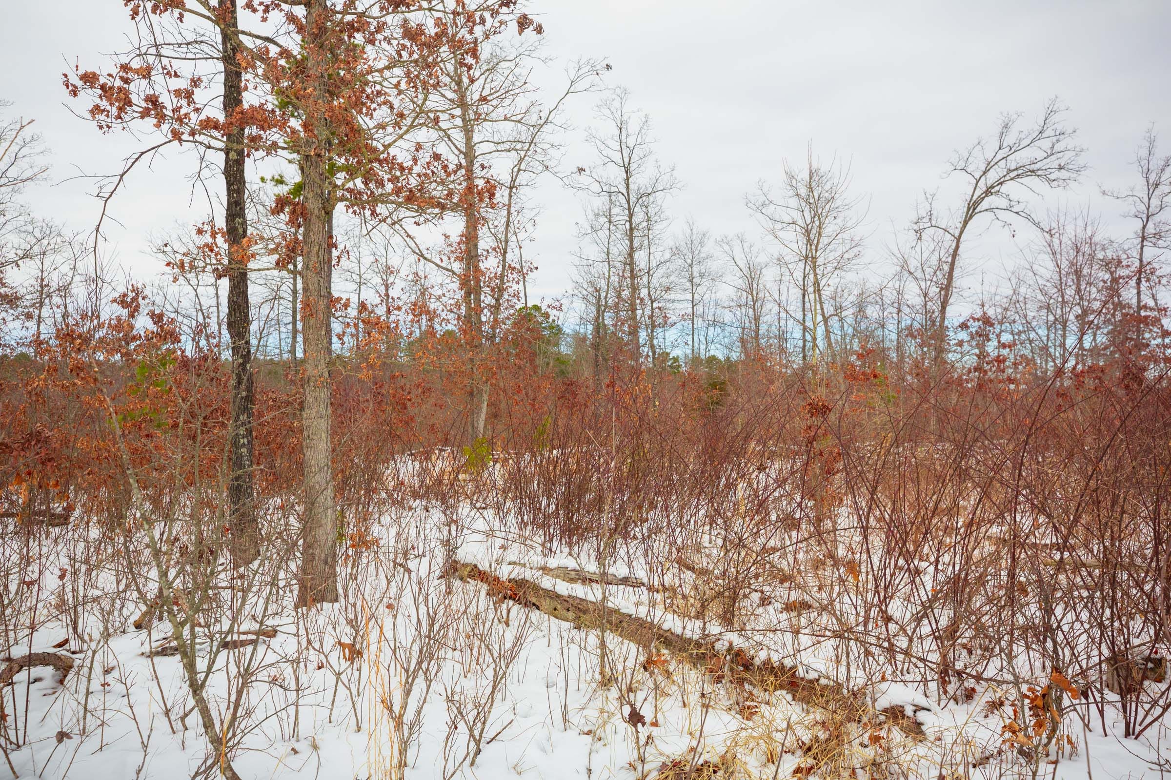 Sleepy Hollow Phase I Tract 15 photo 6
