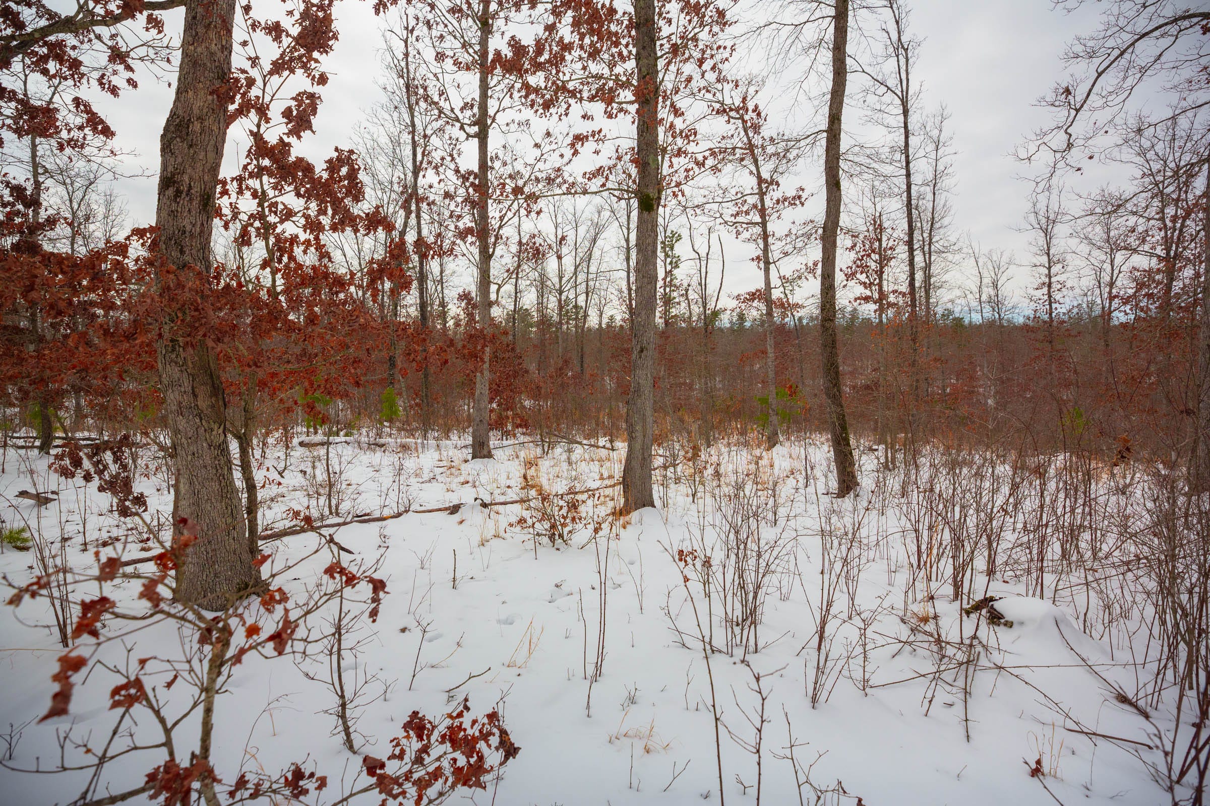 Sleepy Hollow Phase I Tract 15 photo 4